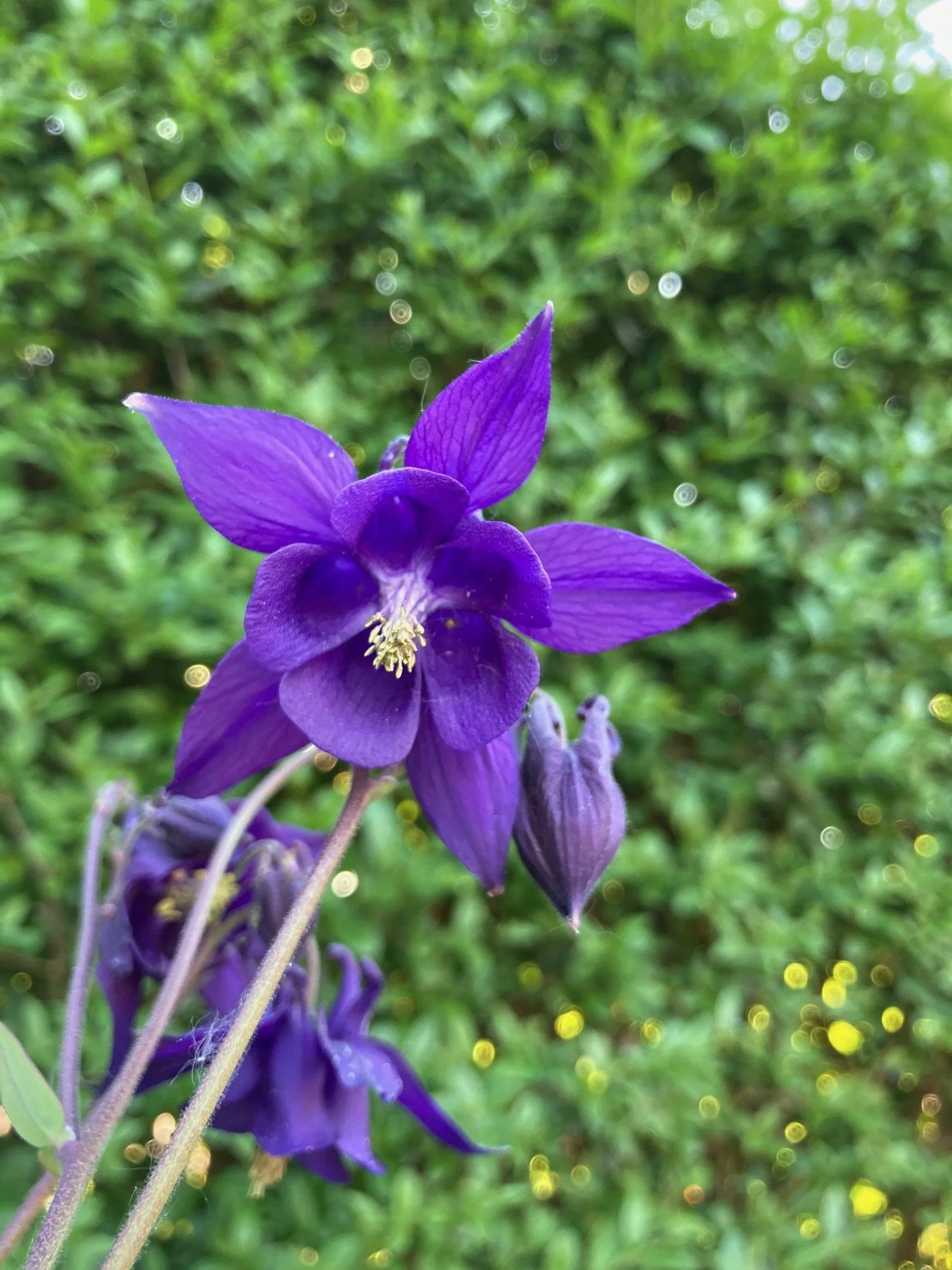 IMG_9067.jpeg