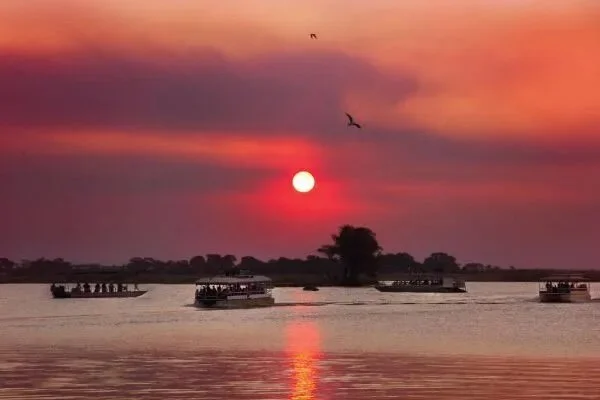 Sunset-River-Cruise-on-the-Zambezi-River.jpeg