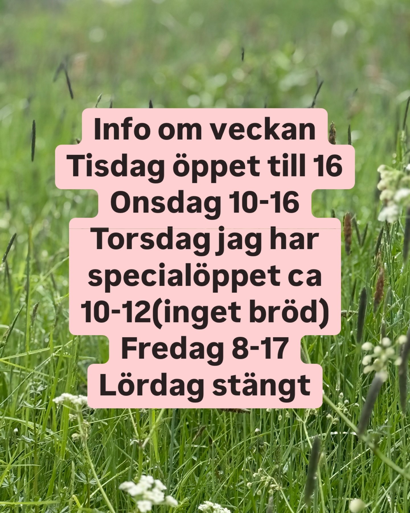 Mer info om vad vi har dessa dagar kommer snaaart!