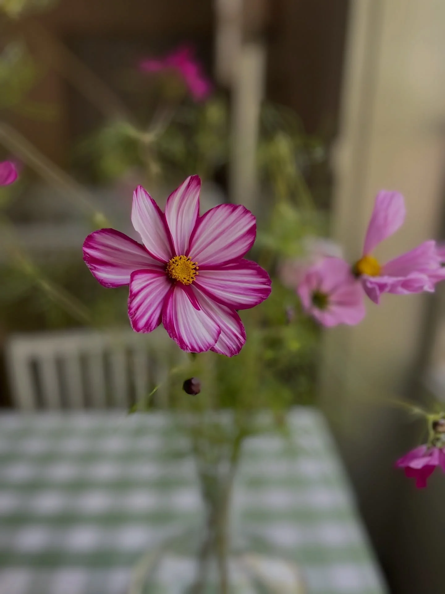 Ur kaos f&ouml;ds kreativitet!
Men just nu beh&ouml;ver jag &ouml;verseende med att vi inte har fullt fokus p&aring; Kea. 
V&aring;r pappa &auml;r mycket sjuk och vi beh&ouml;ver vara med honom nu❤️ 
Vi har fantastisk personal s&aring; det &auml;r &o