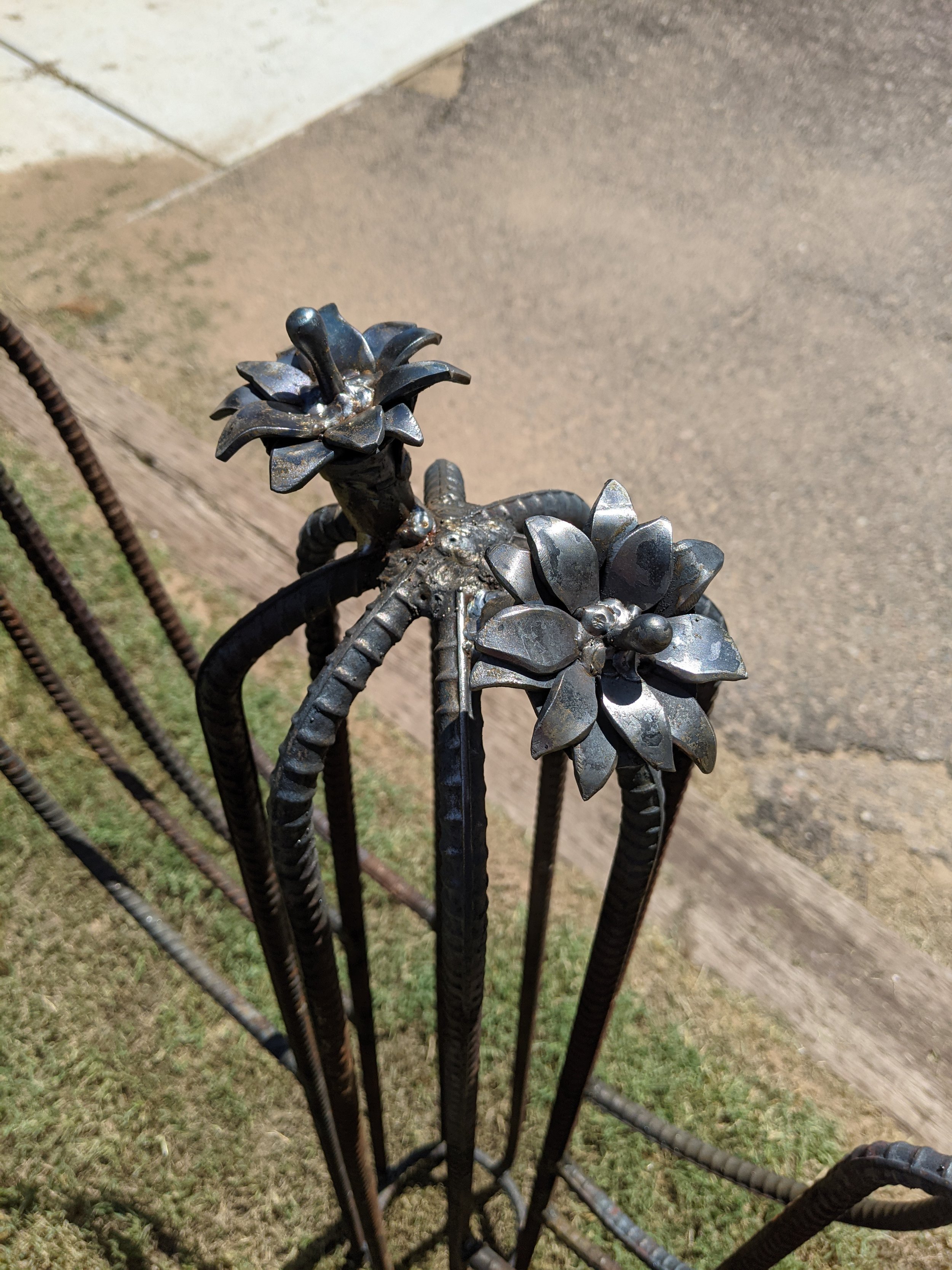 cactus flowers.jpg