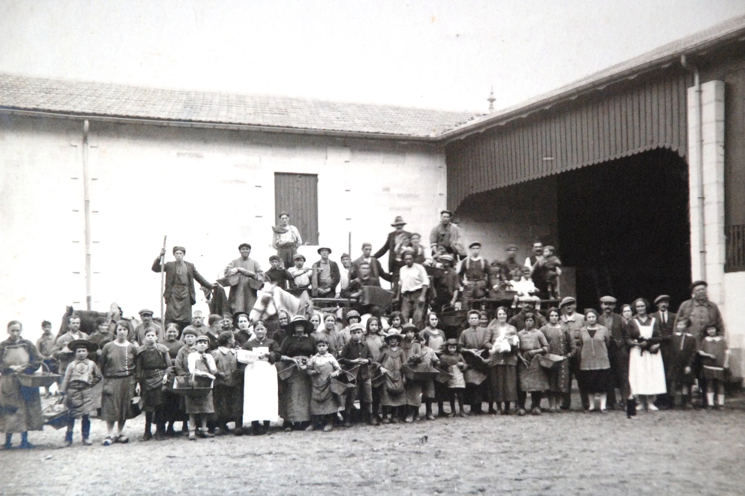 Annereaux vendanges 1925.JPG