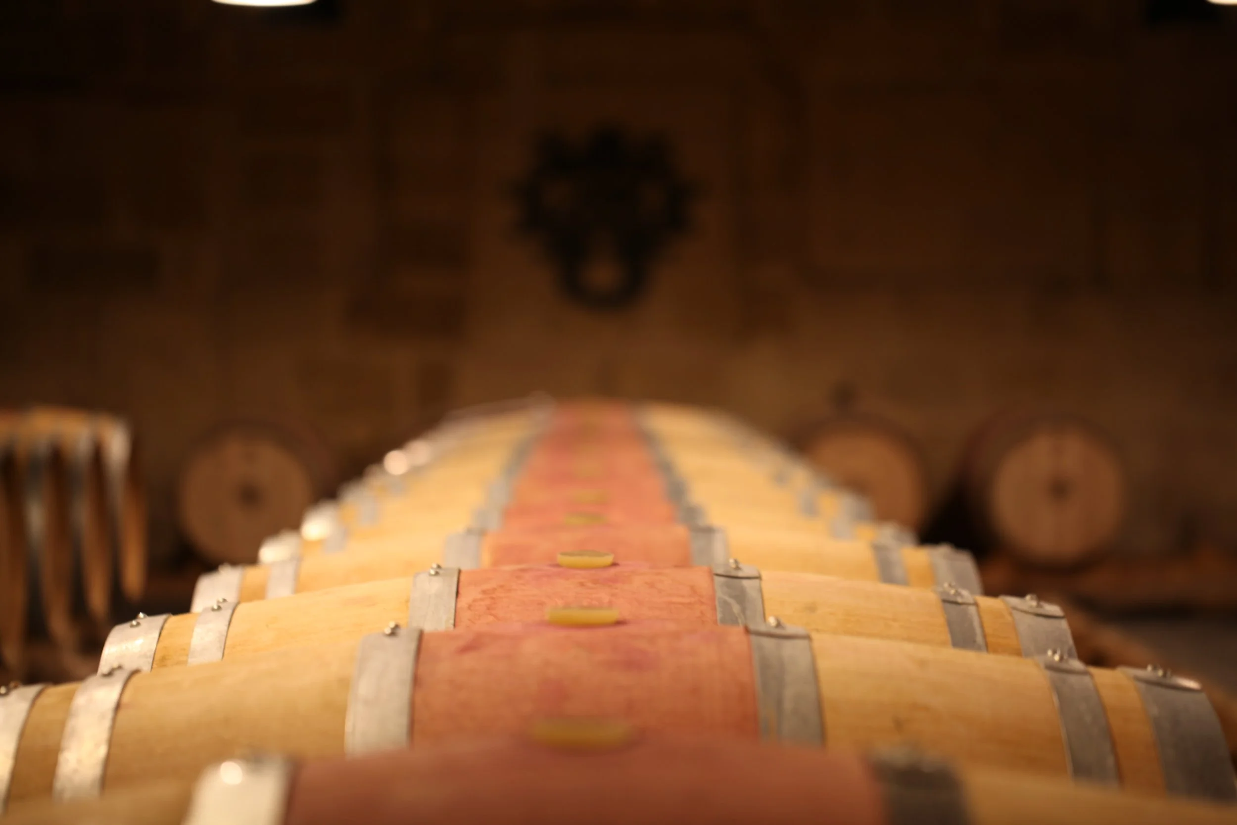 Barriques utilisées pour l’élevage des vins au Château des Annereaux, combinant tradition et vinification bio