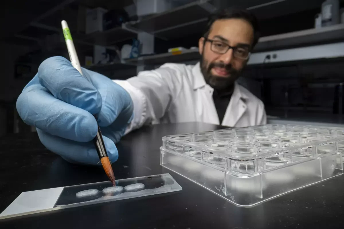 ‘Memory manipulation is inevitable’: How rewriting memory in the lab might one day heal humans