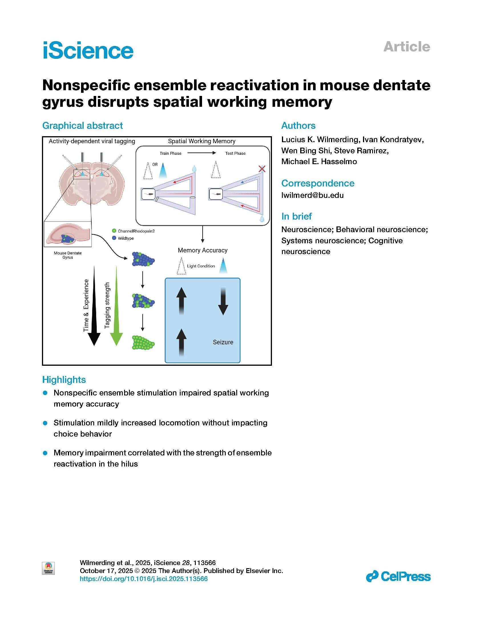 Nonspecific Ensemble Reactivation in Mouse Dentate Gyrus Disrupts Spatial Working Memory