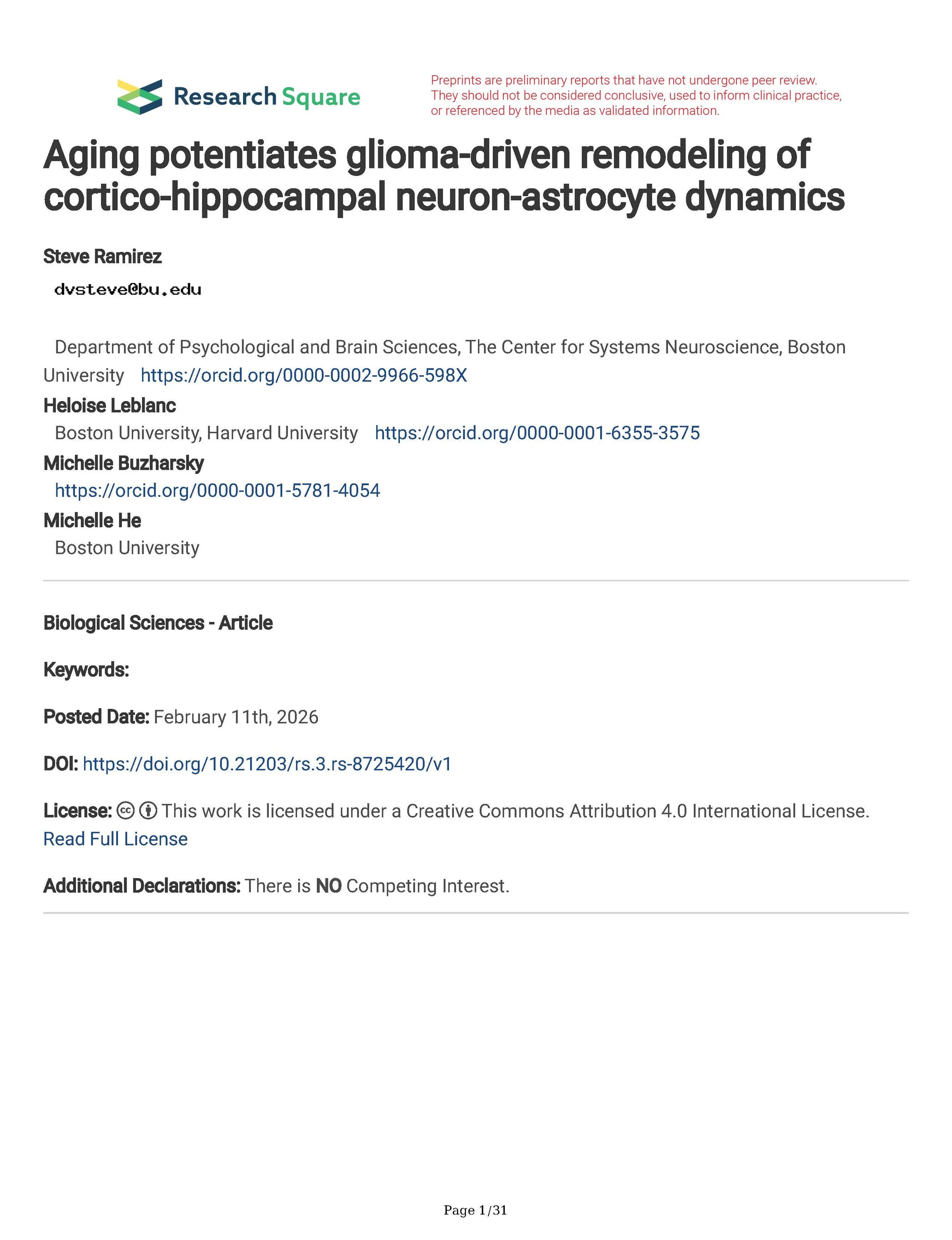 Aging Potentiates Glioma-Driven Remodeling Of Cortico-Hippocampal Neuron-Astrocyte Dynamics