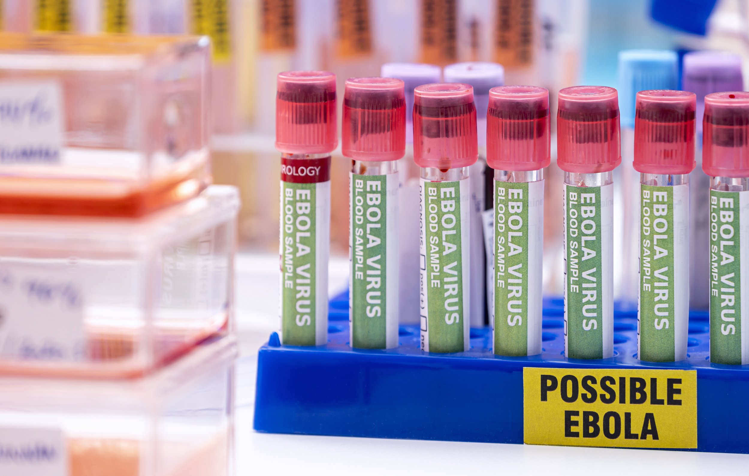 ANALYZING THE BUNDIBUGYO EBOLA OUTBREAK IN THE DRC