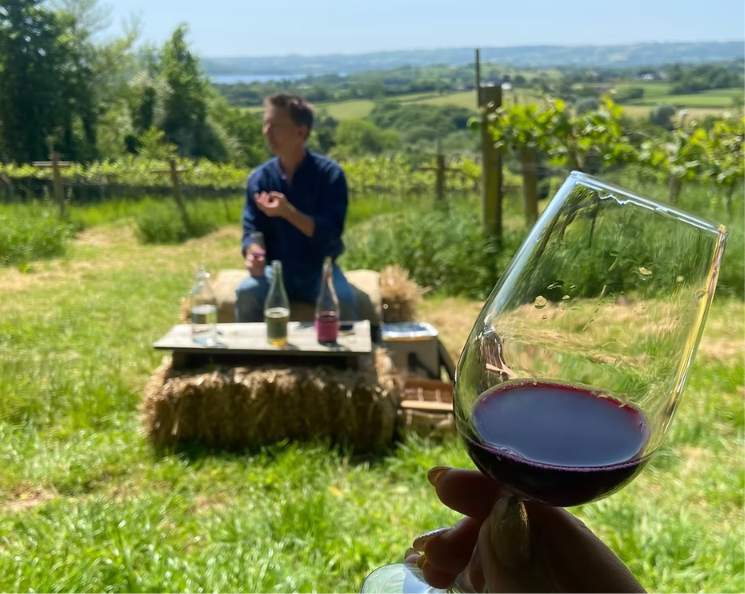 GOOD STORIES IN FOOD: Wine and Cheese Tasting Tour