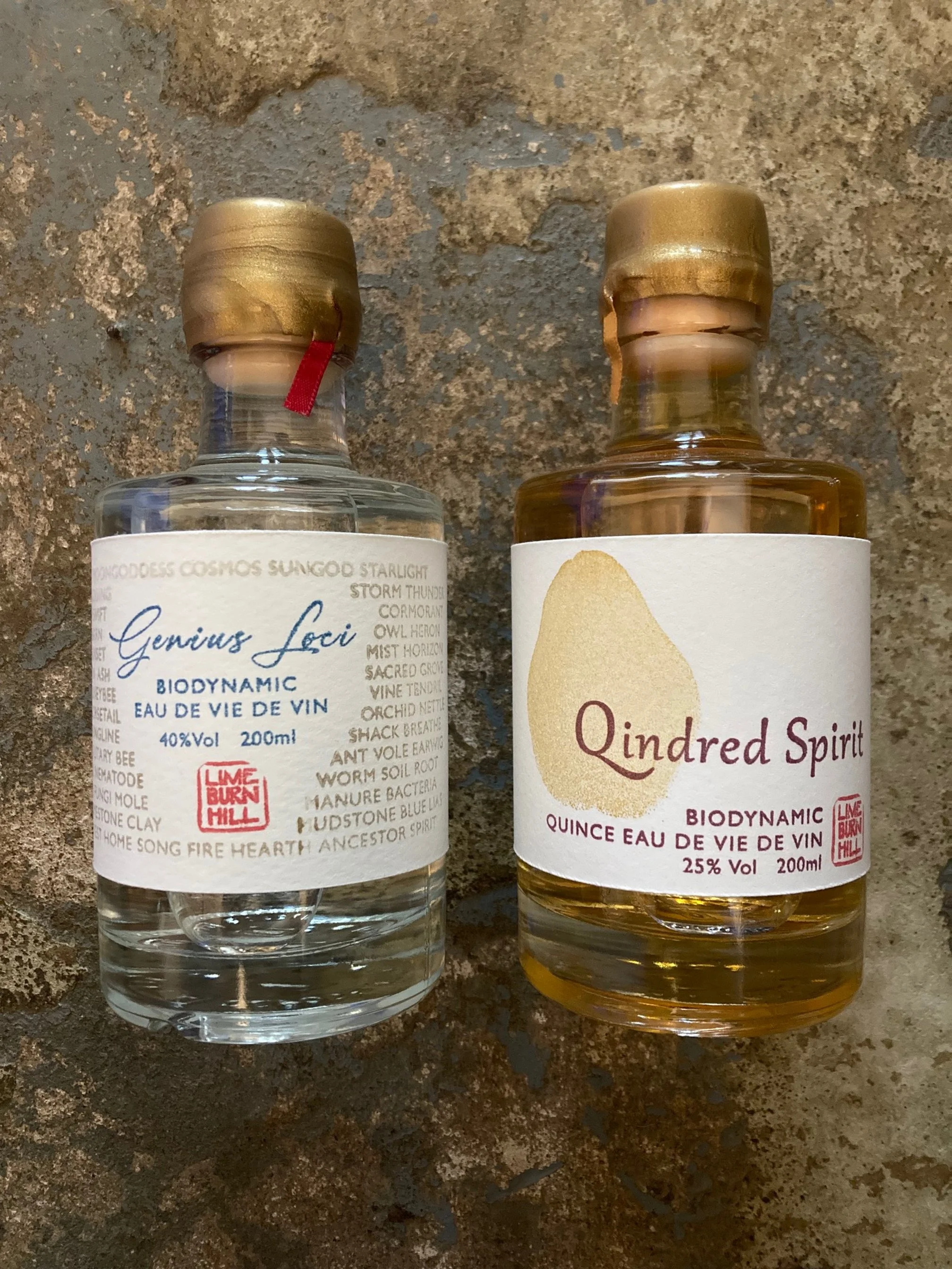 The Spirit pair.jpg