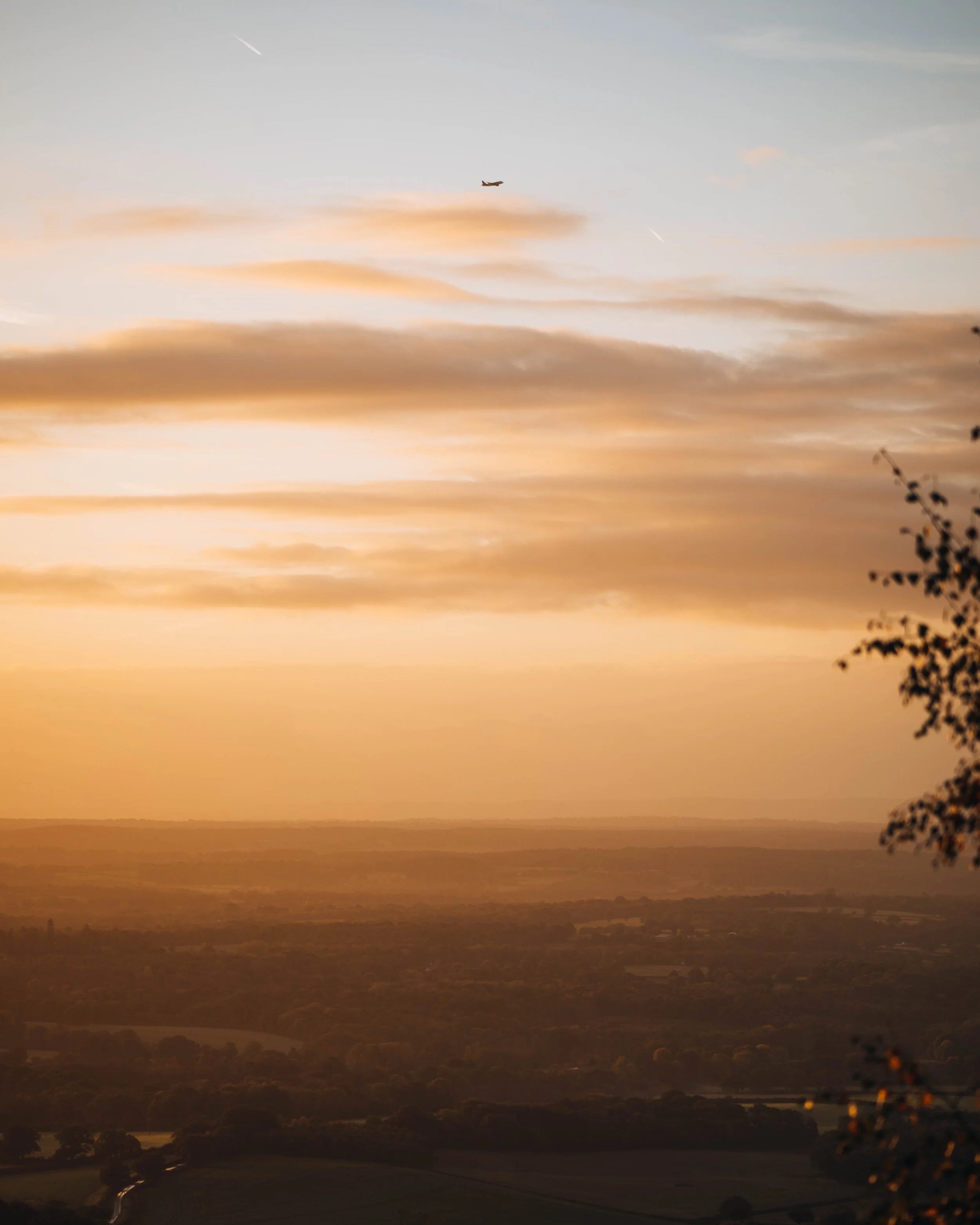 Leith+Hill+%2811+of+31%29.jpg