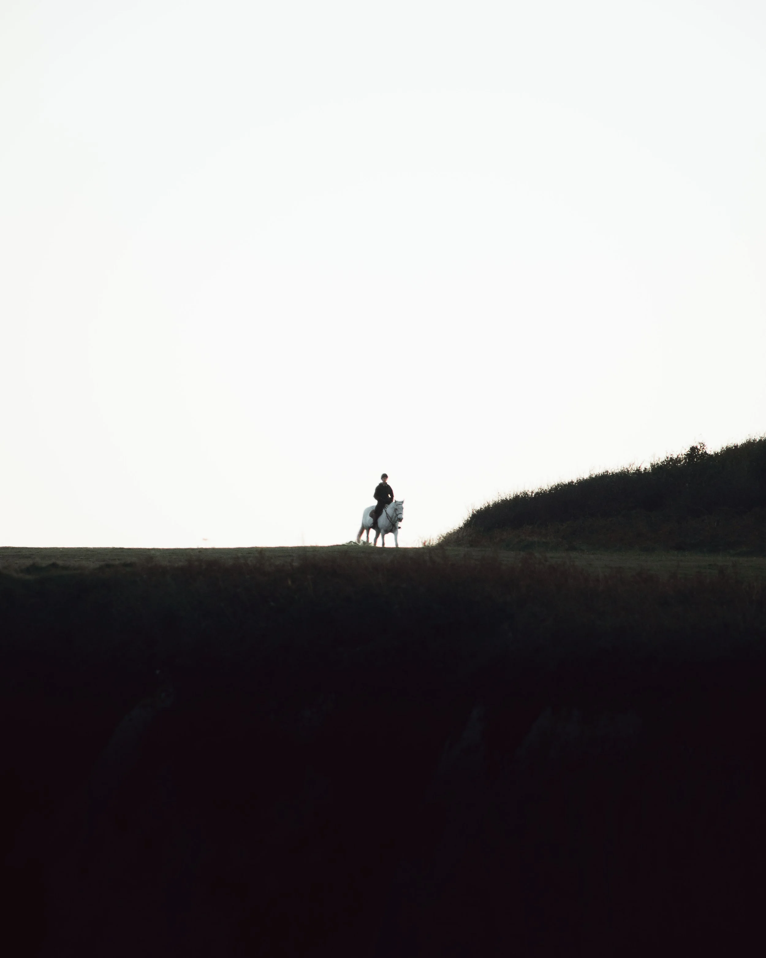 Old Harries (9 of 9).jpg