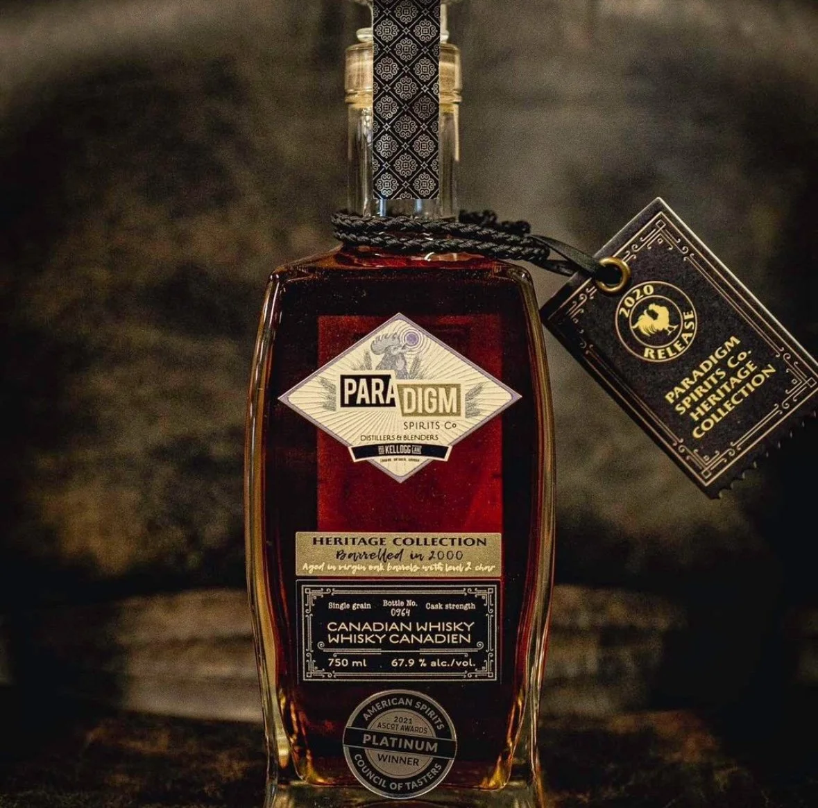 Craft Dynamics - Paradigm.jpg