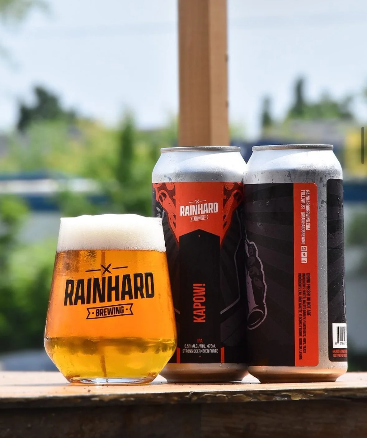 Craft Dynamics - Rainhard.jpg