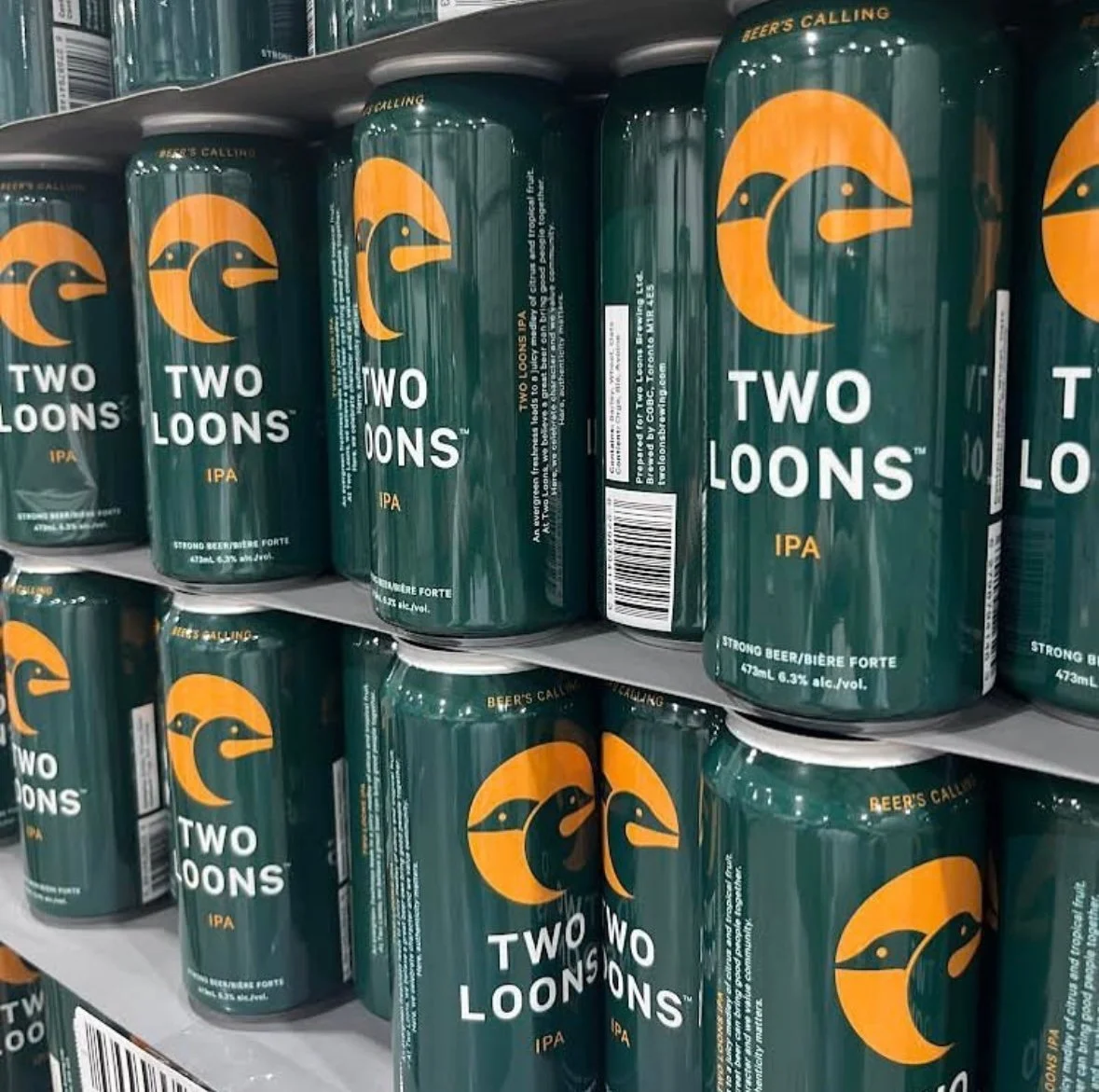 Craft Dynamics - Two Loons .jpg