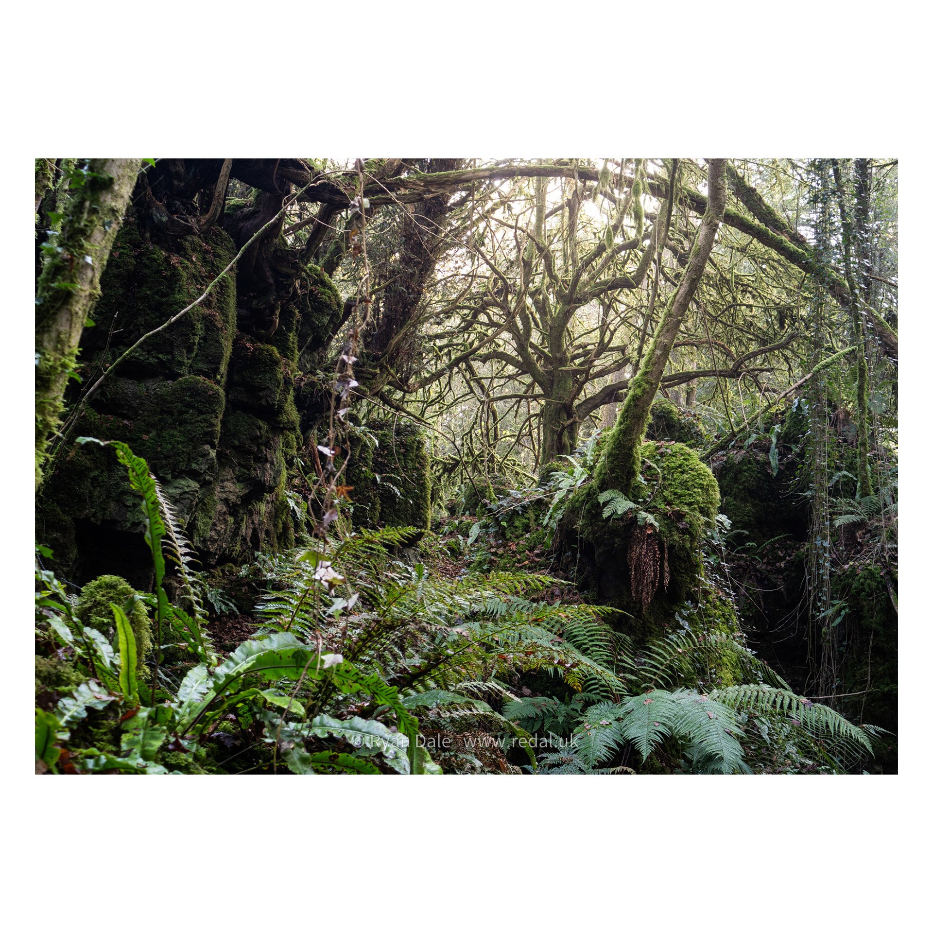 redal-portfolio-image-571.jpg
