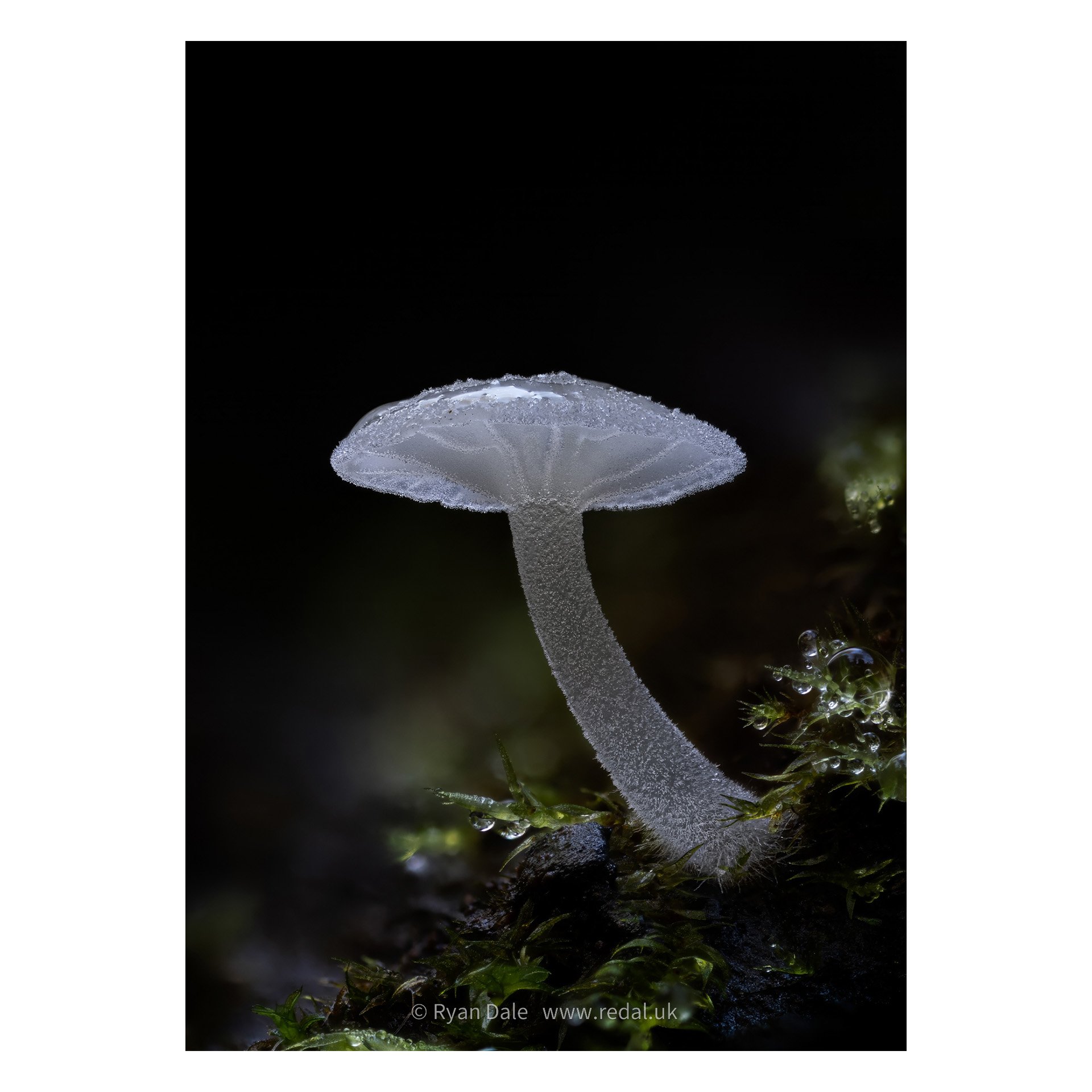 redal-portfolio-image-578.jpg