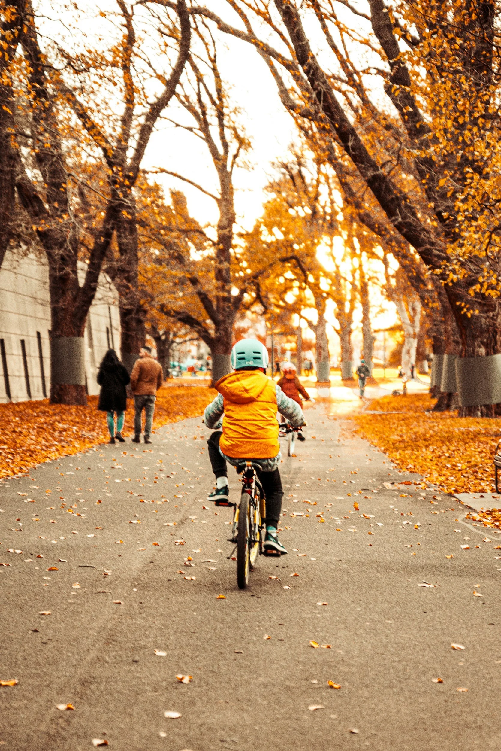Cycle to School Week 2026: The Real Cost of the School Run