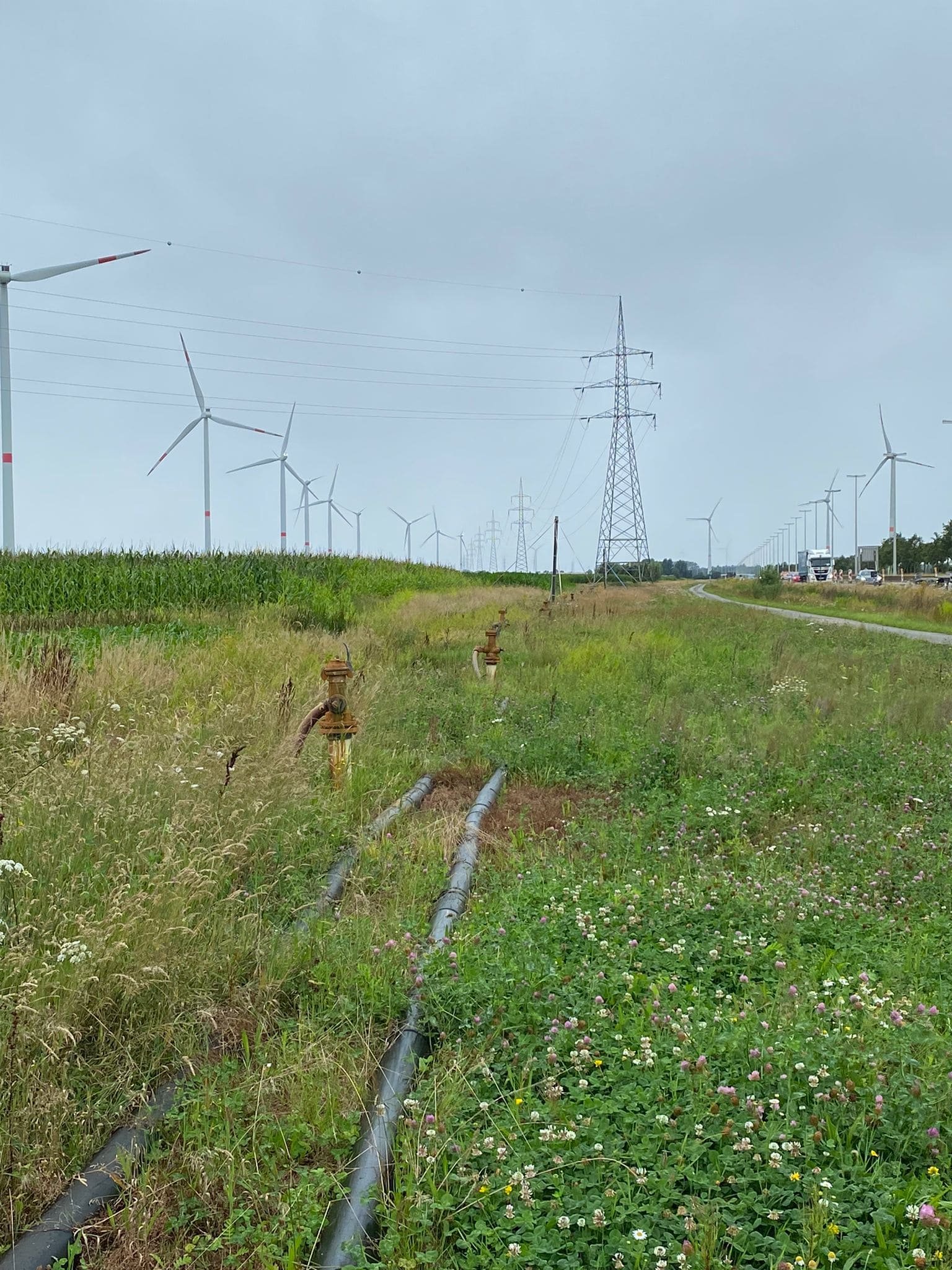 Kaprijke fietstunnel N49