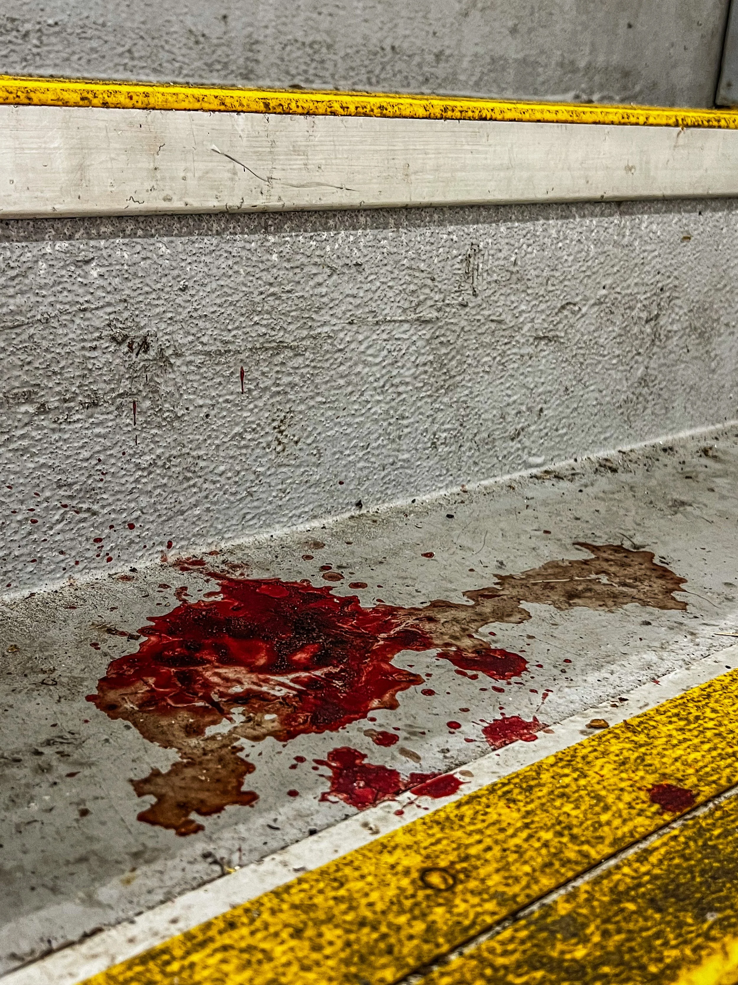 Close-up of red blood spatter on a concrete step, requiring specialist cleaning.