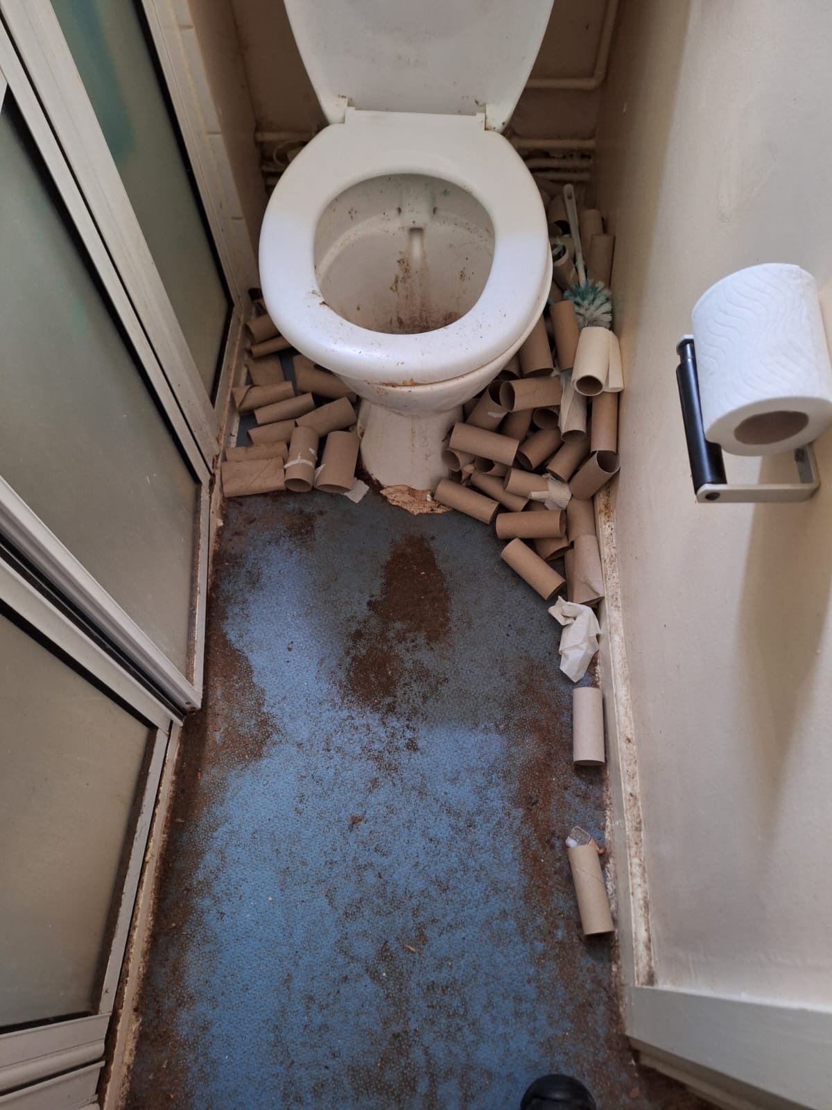 Bathroom with a toilet surrounded by empty toilet paper rolls and stained floor.