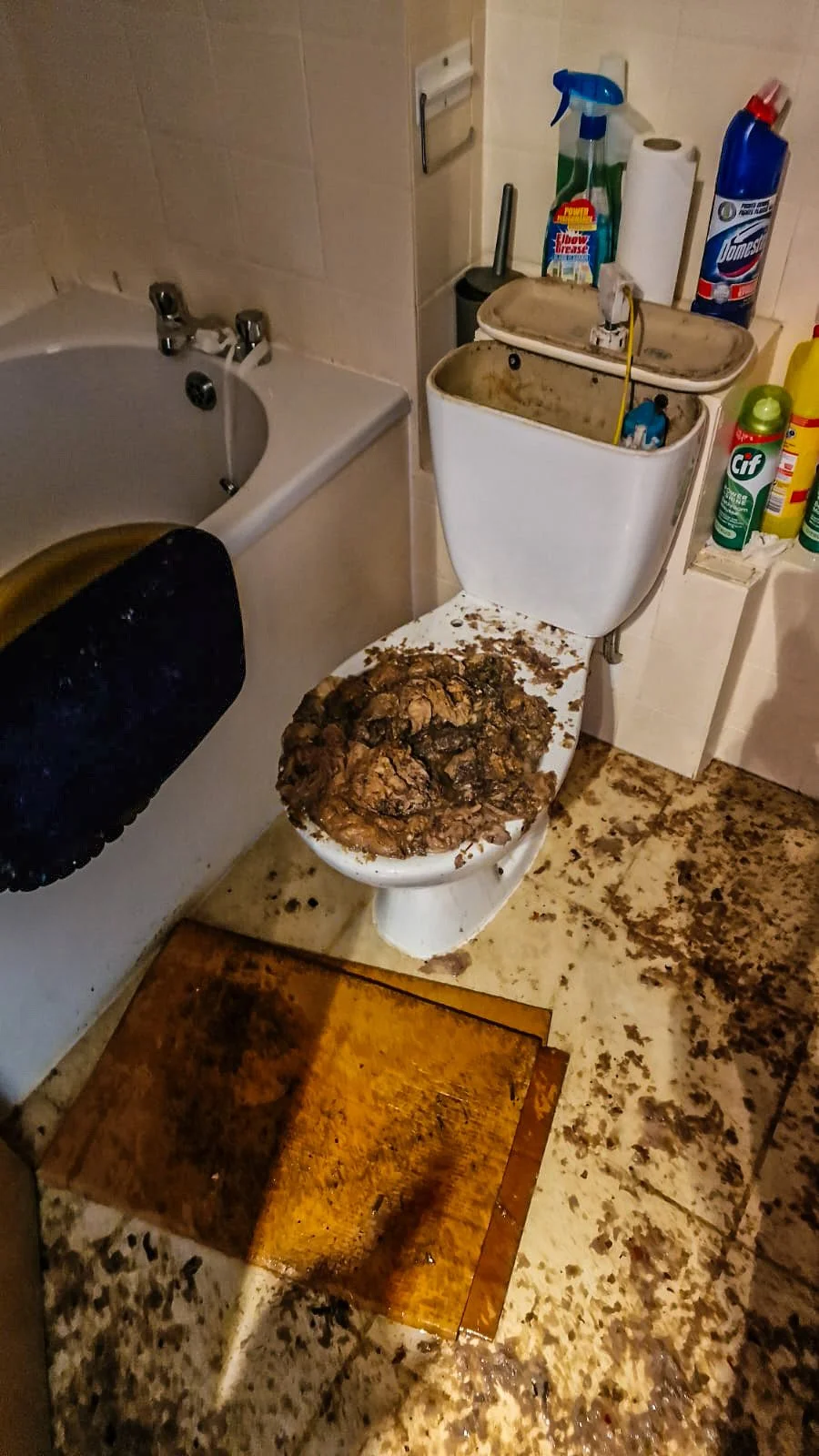 Bathroom with toilet overflowing with sewage, dirty floor, bathtub, and cleaning supplies on a shelf.