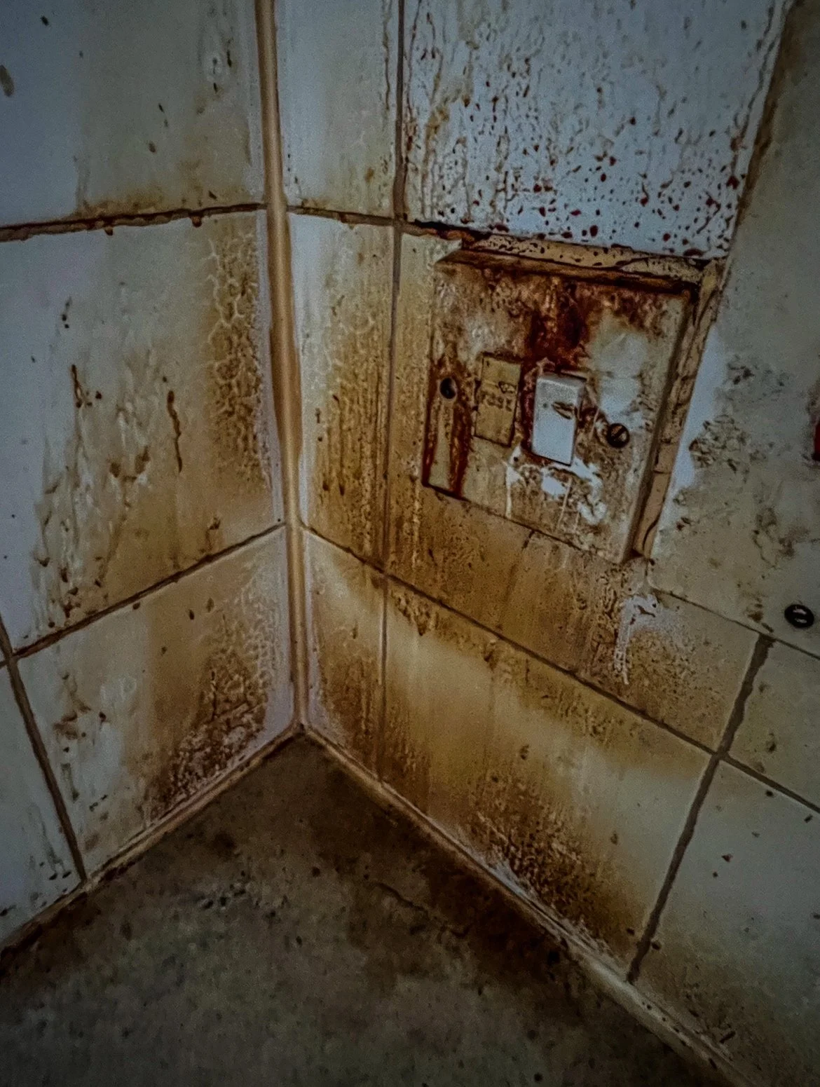 Dirty tiled corner with a rusty electrical outlet cover and stained tiles.