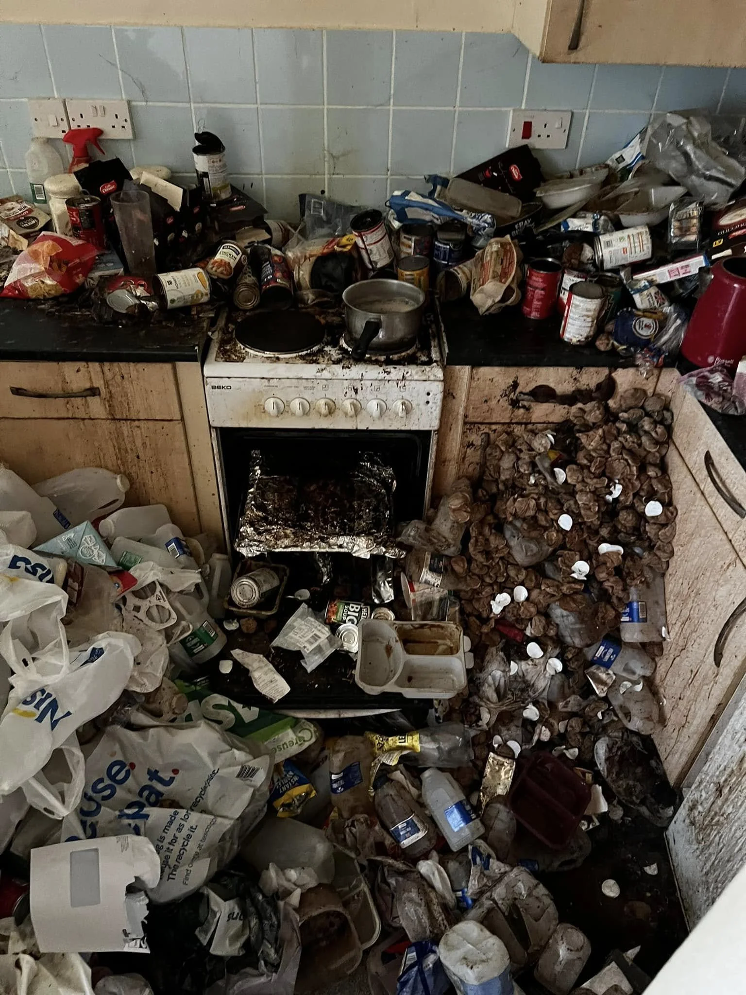 Kitchen extreme cleaning