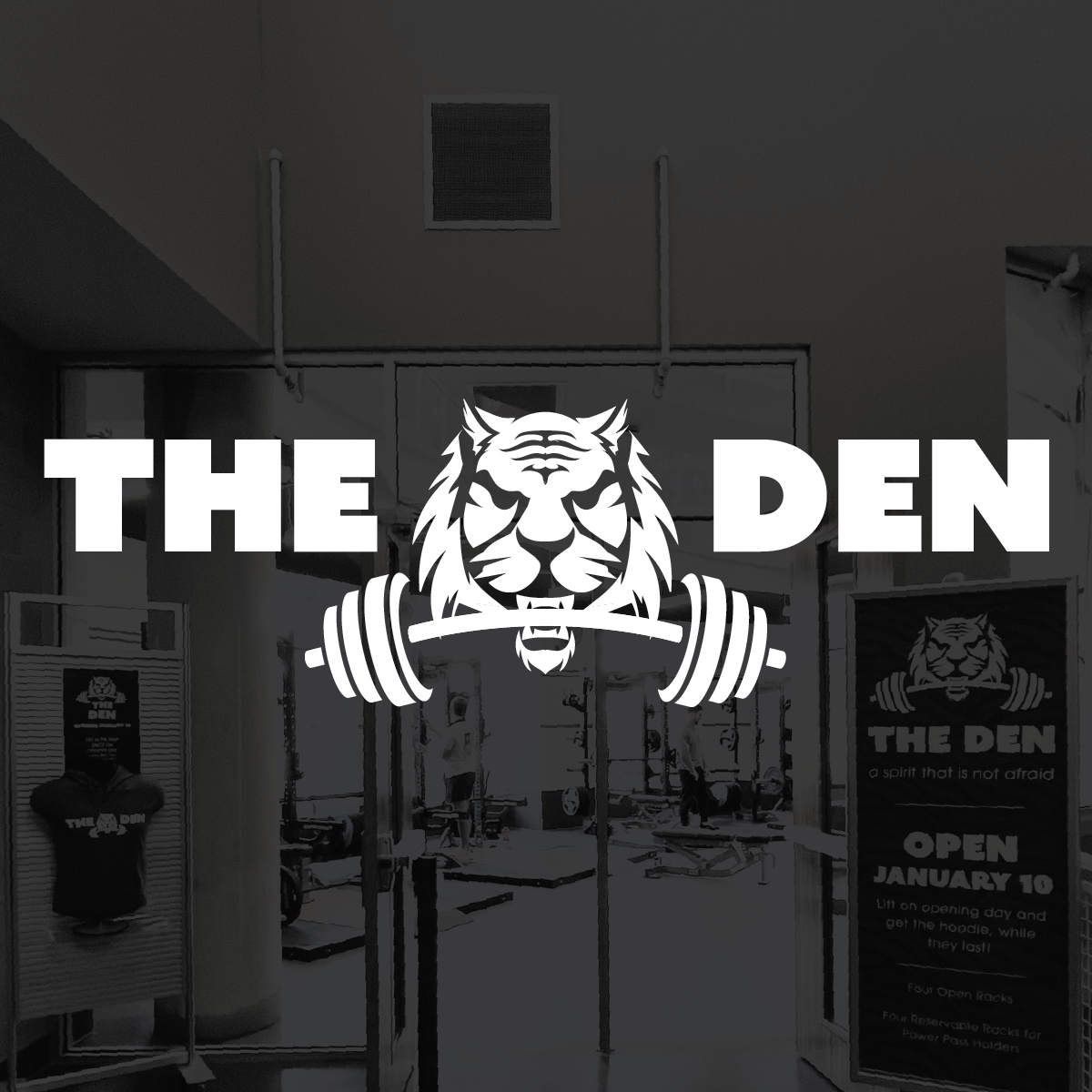 TIGERdenportf.png