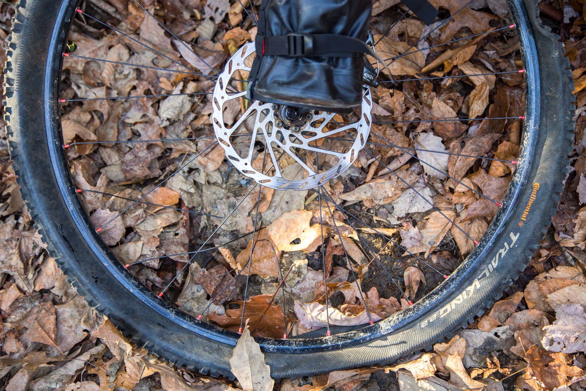 20151123-IMG_3143-2.jpg