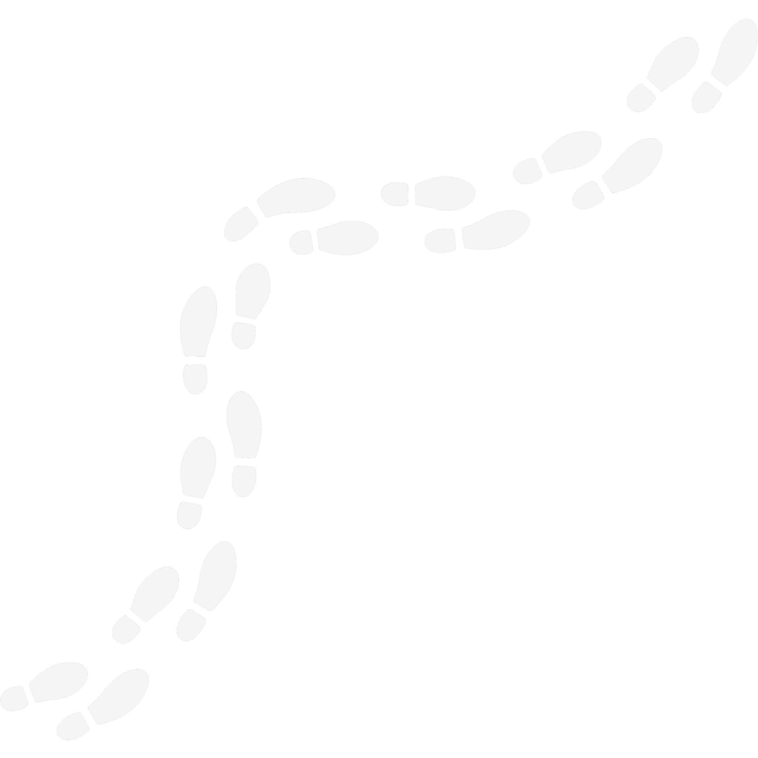 Symbol von Fußtstapfen, welche den Veränderungsweg darstellen