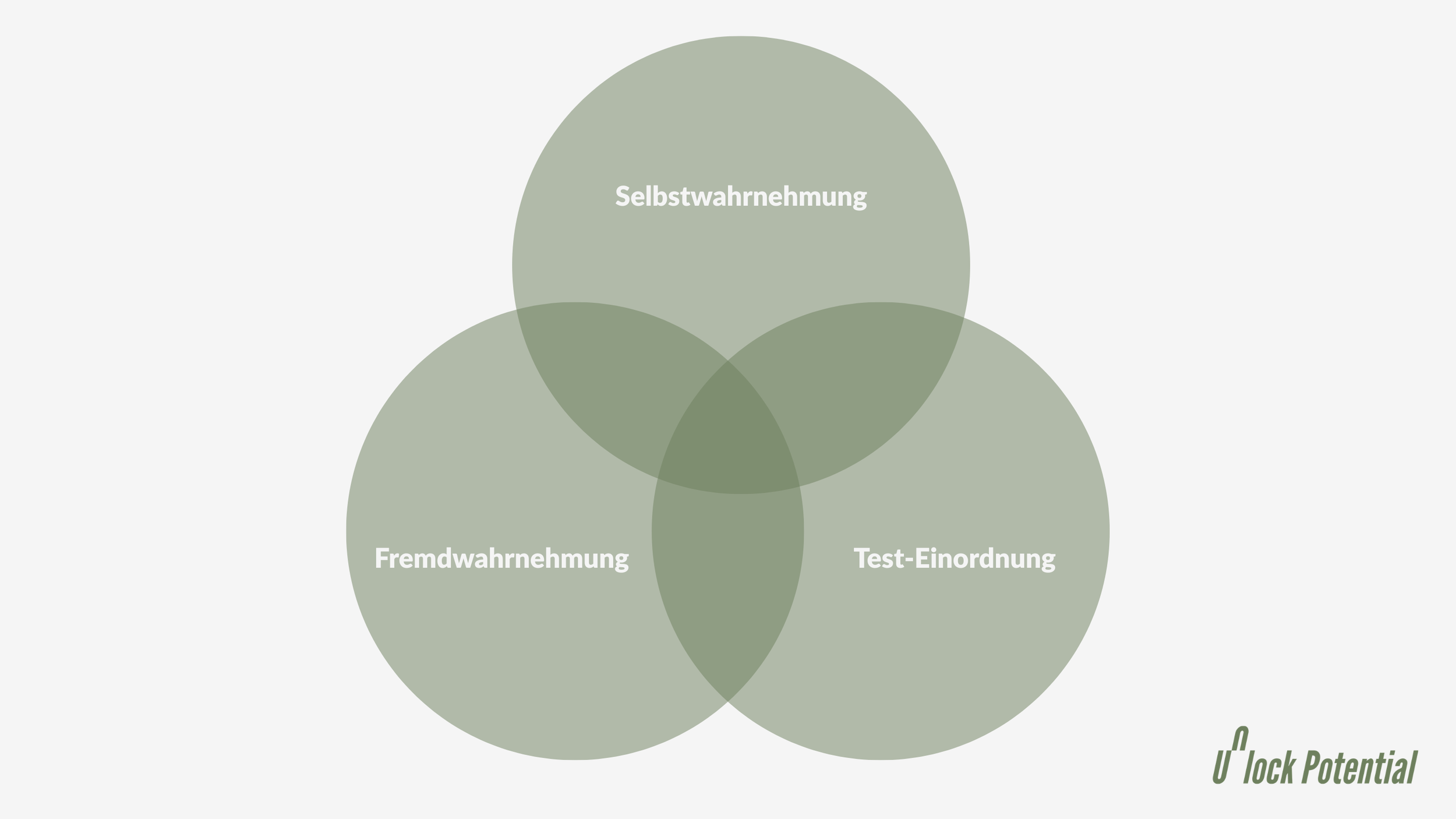Diagramm der drei Wahrnehmungsebenen: Selbstwahrnehmung, Fremdwahrnehmung und Einordnung durch einen Test