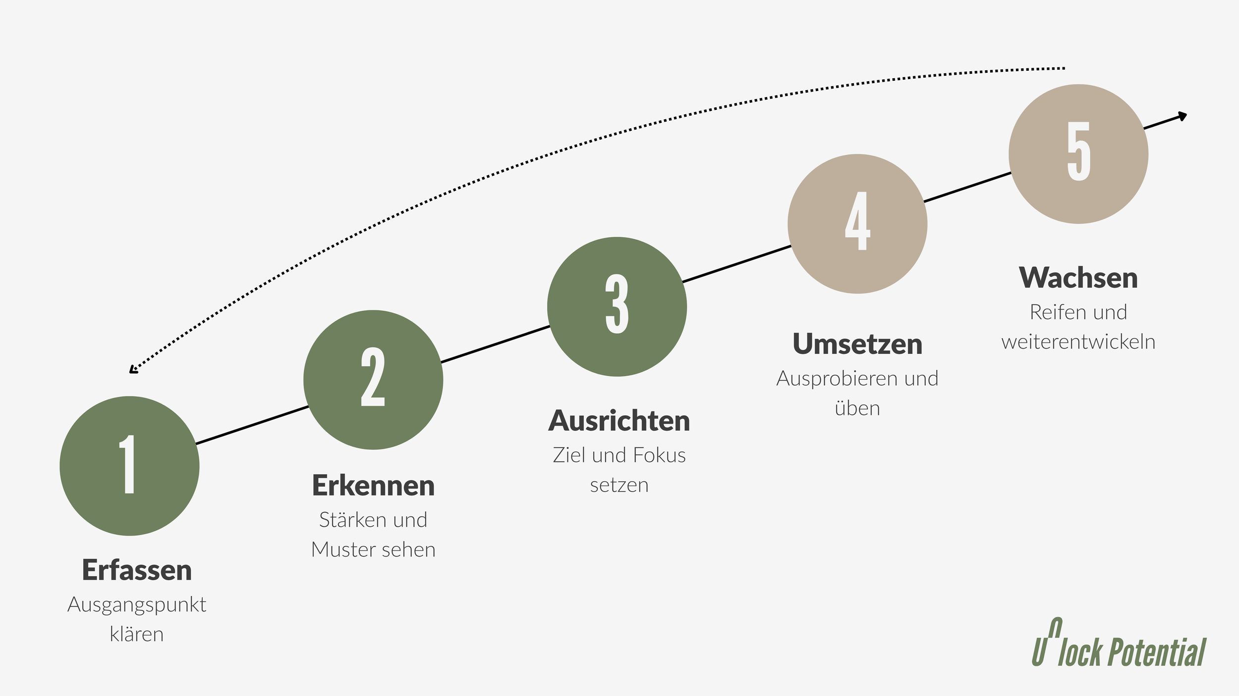 Modell des Unlock-Potential-Prozesses mit fünf Schritten der Potenzialentwicklung: Erfassen, Erkennen, Ausrichten, Umsetzen, Wachsen