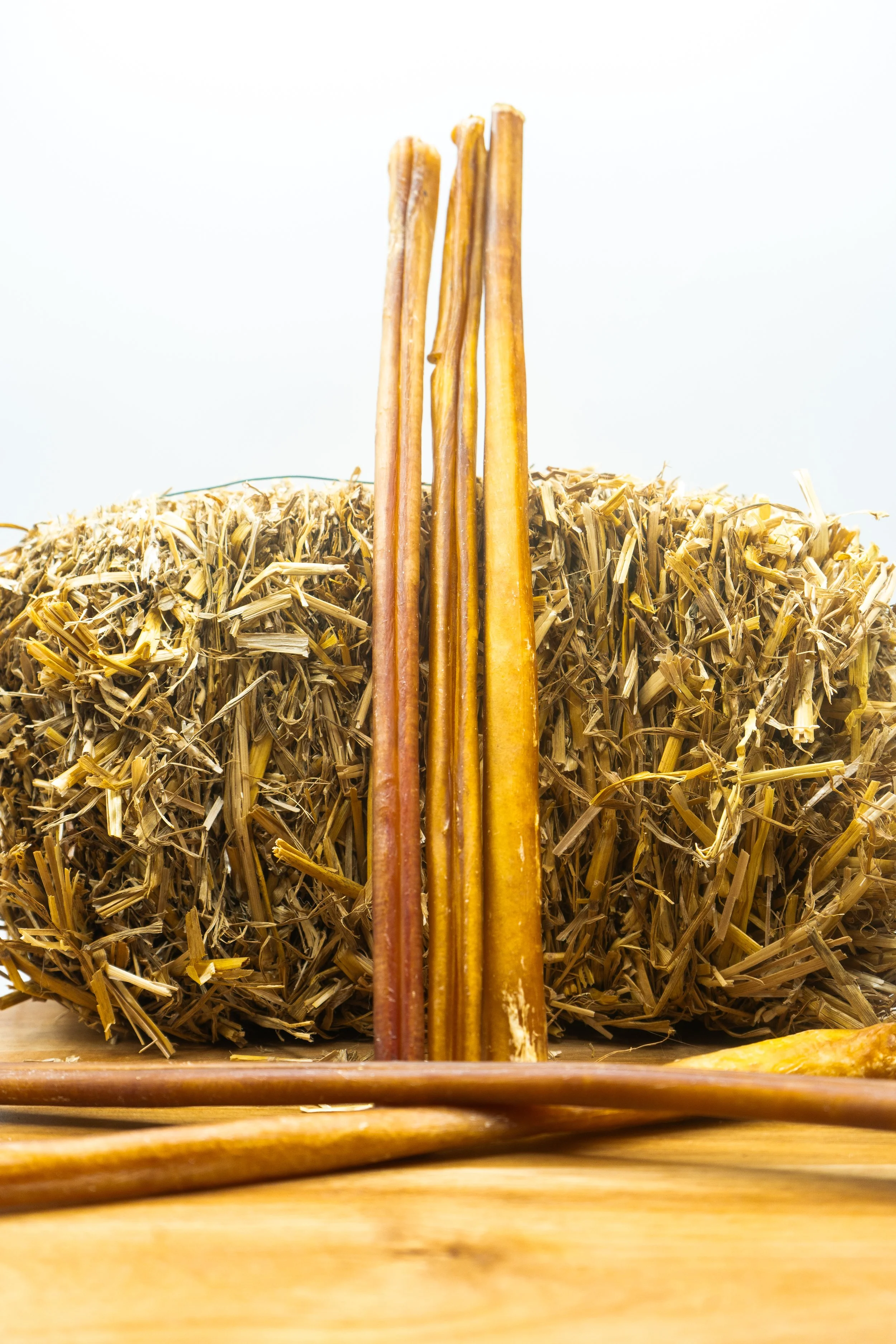 12" Bully Sticks | by Dibo