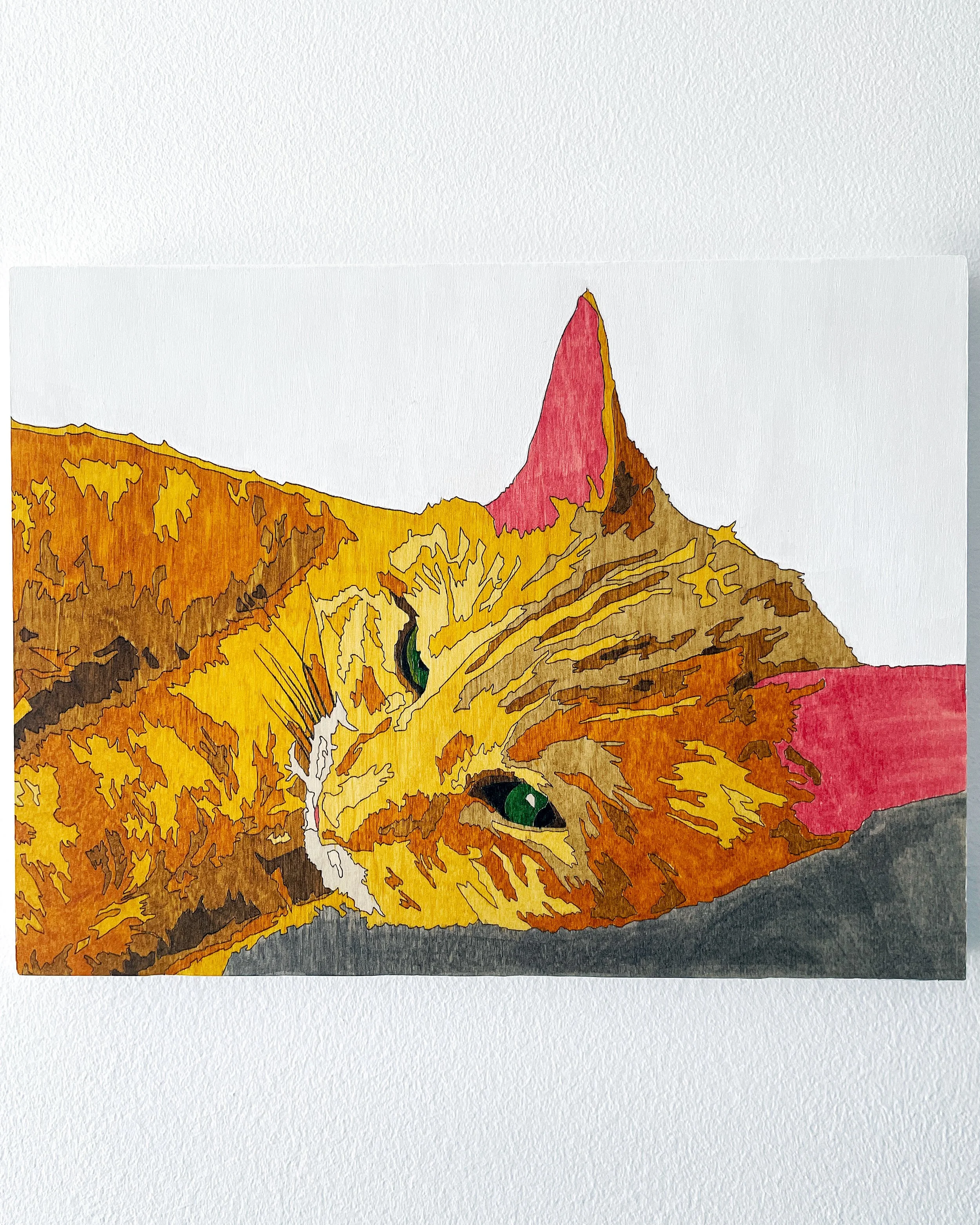 Etching-Cat-Erwin.jpg