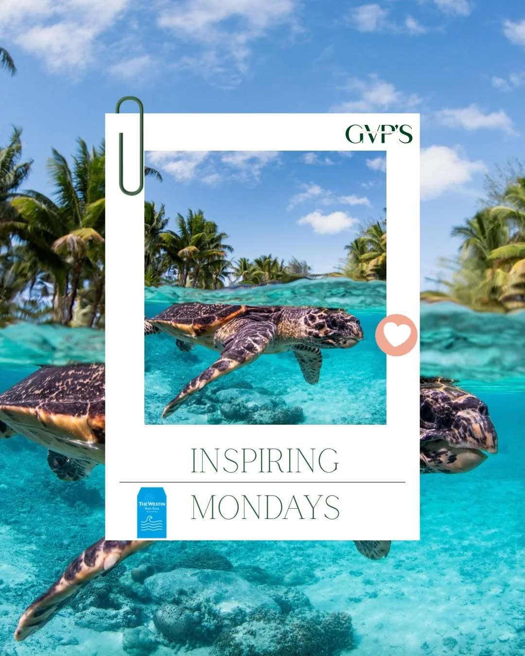 ✨ Inspiring Mondays ✨

Doing good is the new definition of luxury 🌿💙

At The Westin Bora Bora, the Eco Center is a sanctuary of care and conservation &mdash; where protecting marine life, like these graceful sea turtles, is part of everyday life.

