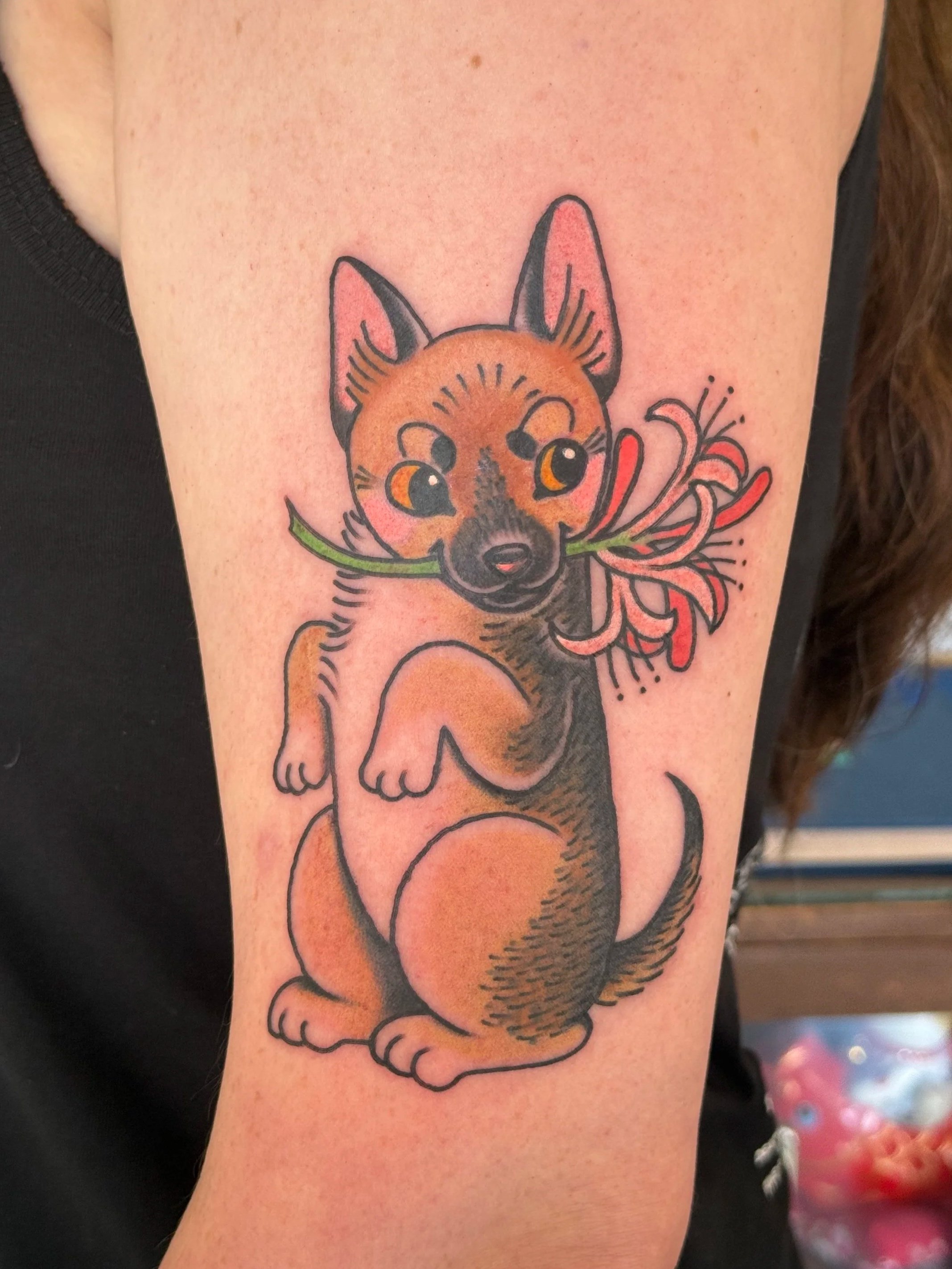 Pet portrait tattoo by Lauren at Lucky Cat Tattoo in North Park
