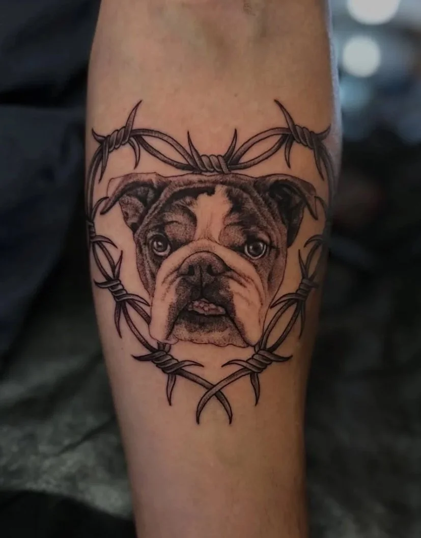 Bulldog tattoo by Emily Paul at Lucky Cat Tattoo, Queer lesbian tattoo artist in North Park San Diego