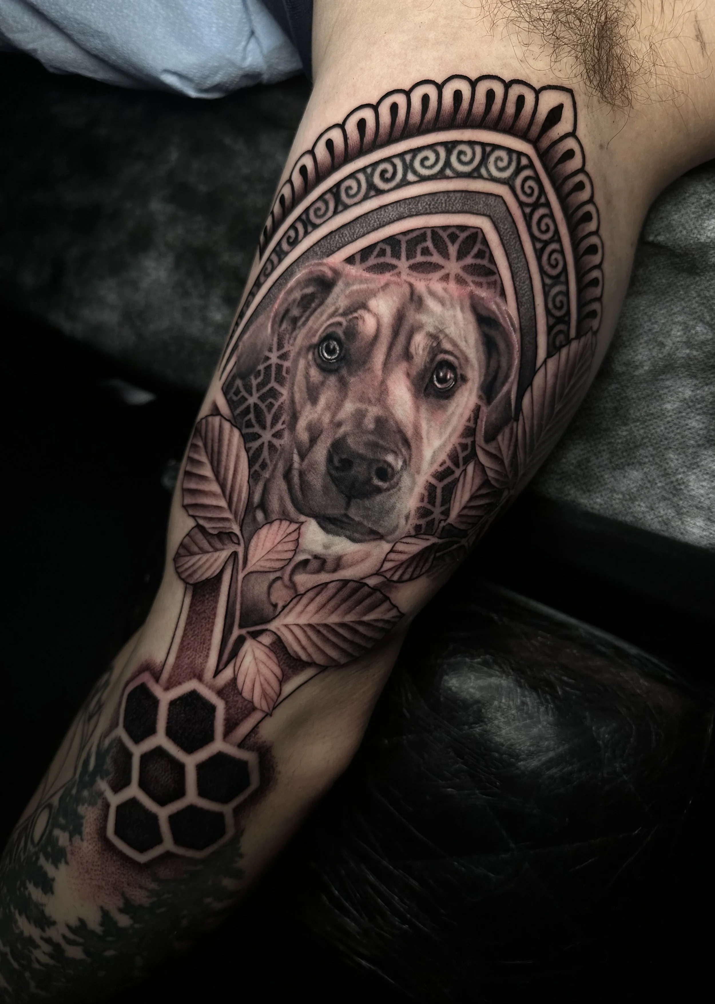Realistic Dog Portrait tattoo in San Diego California by Emily Paul, Queer tattoo artist in North Park, San Diego