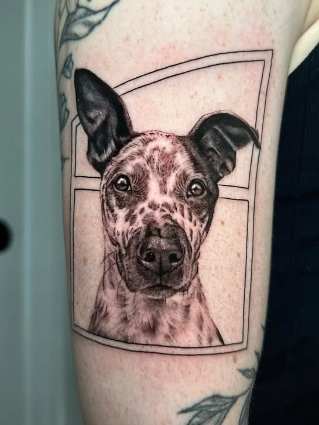 Queer tattoo shop in North Park, San Diego
