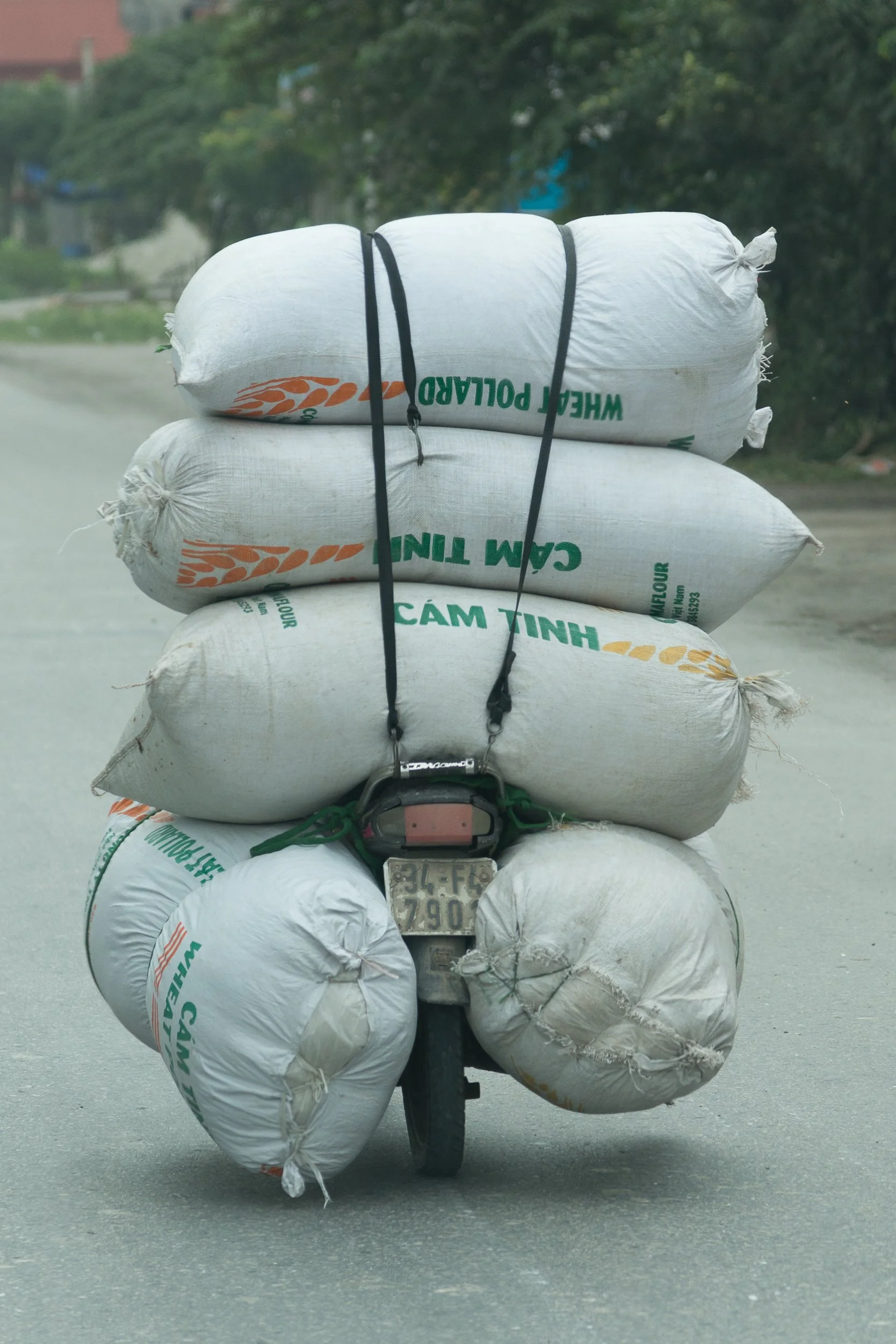 Joel Collins - Motorbikes-5602.jpg