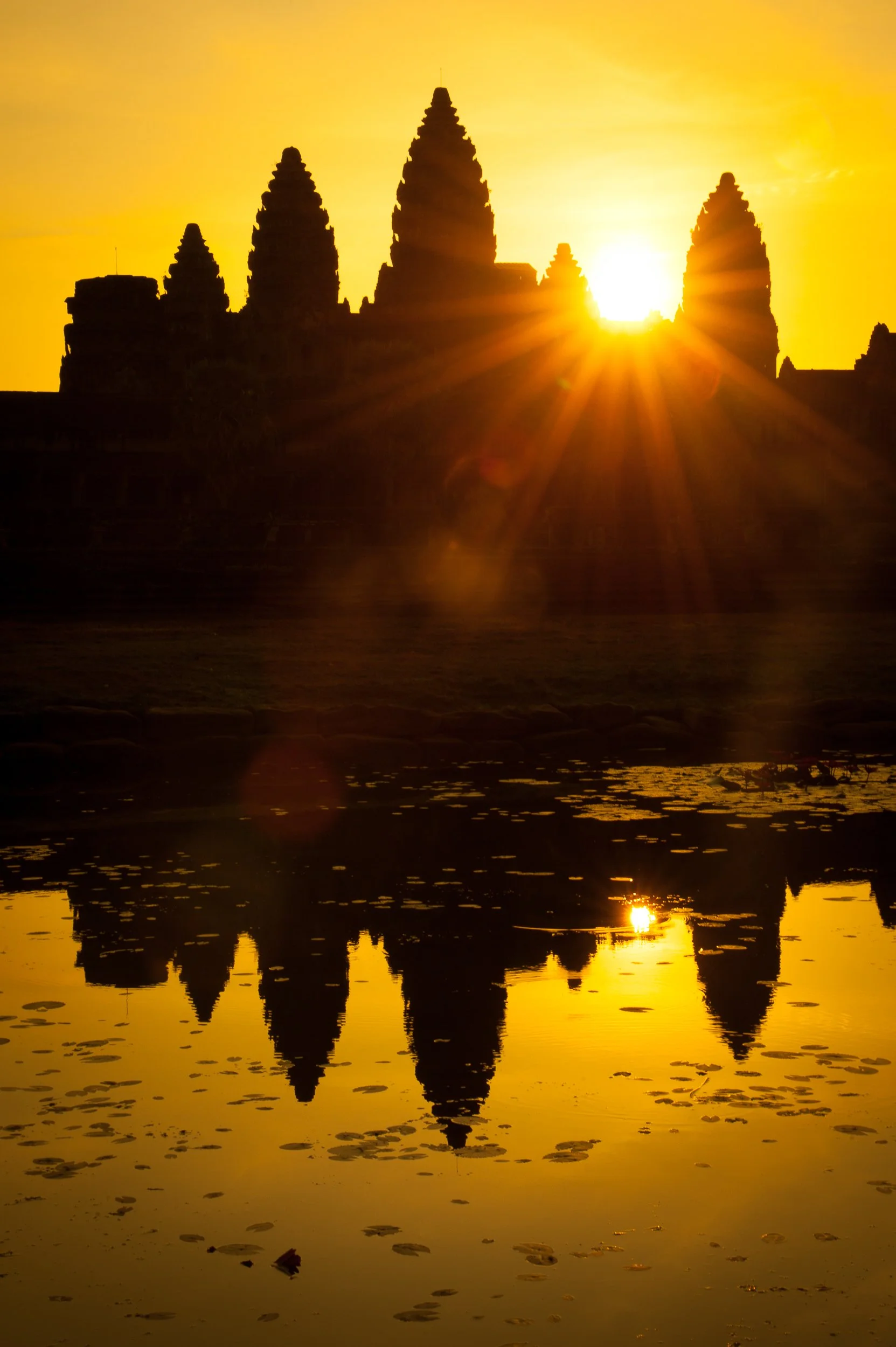 Joel Collins - Cambodia-2.jpg