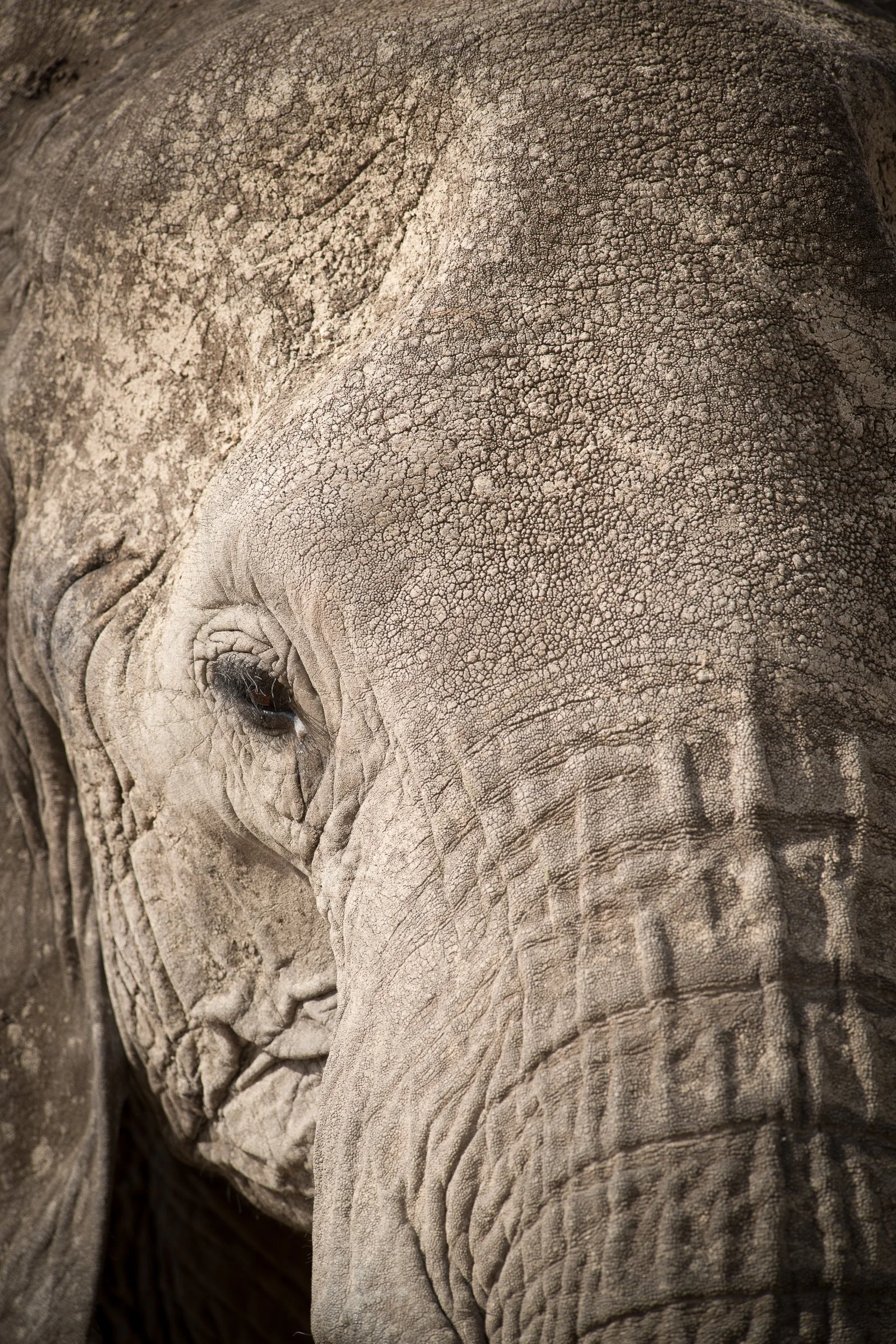 Joel Collins - Tanzania-2374.jpg