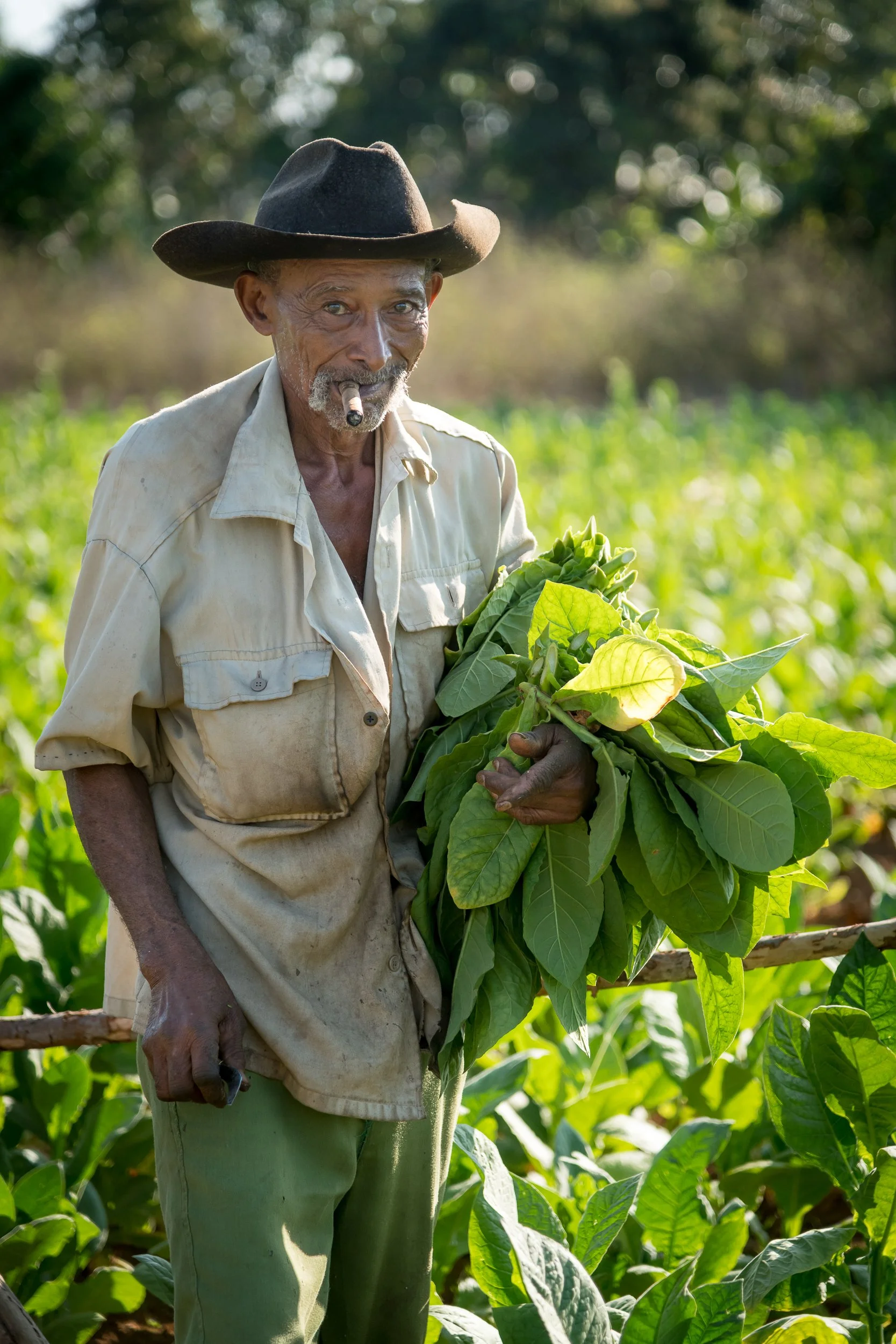 Joel Collins - Cuba-0863.jpg