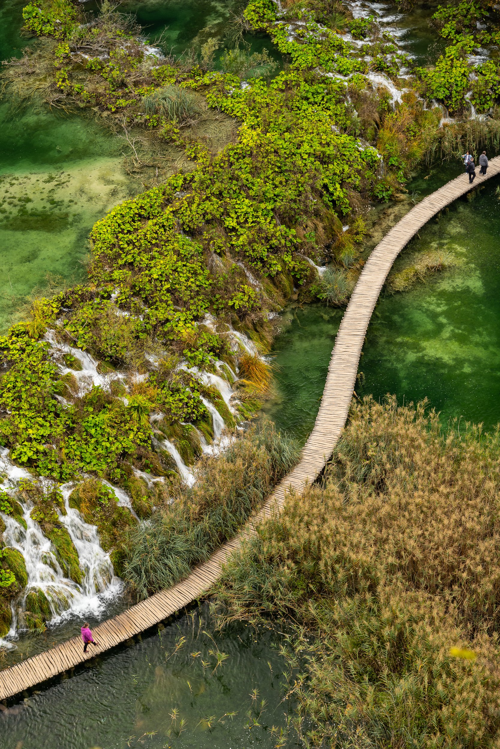 Joel Collins - Croatia-8724.jpg