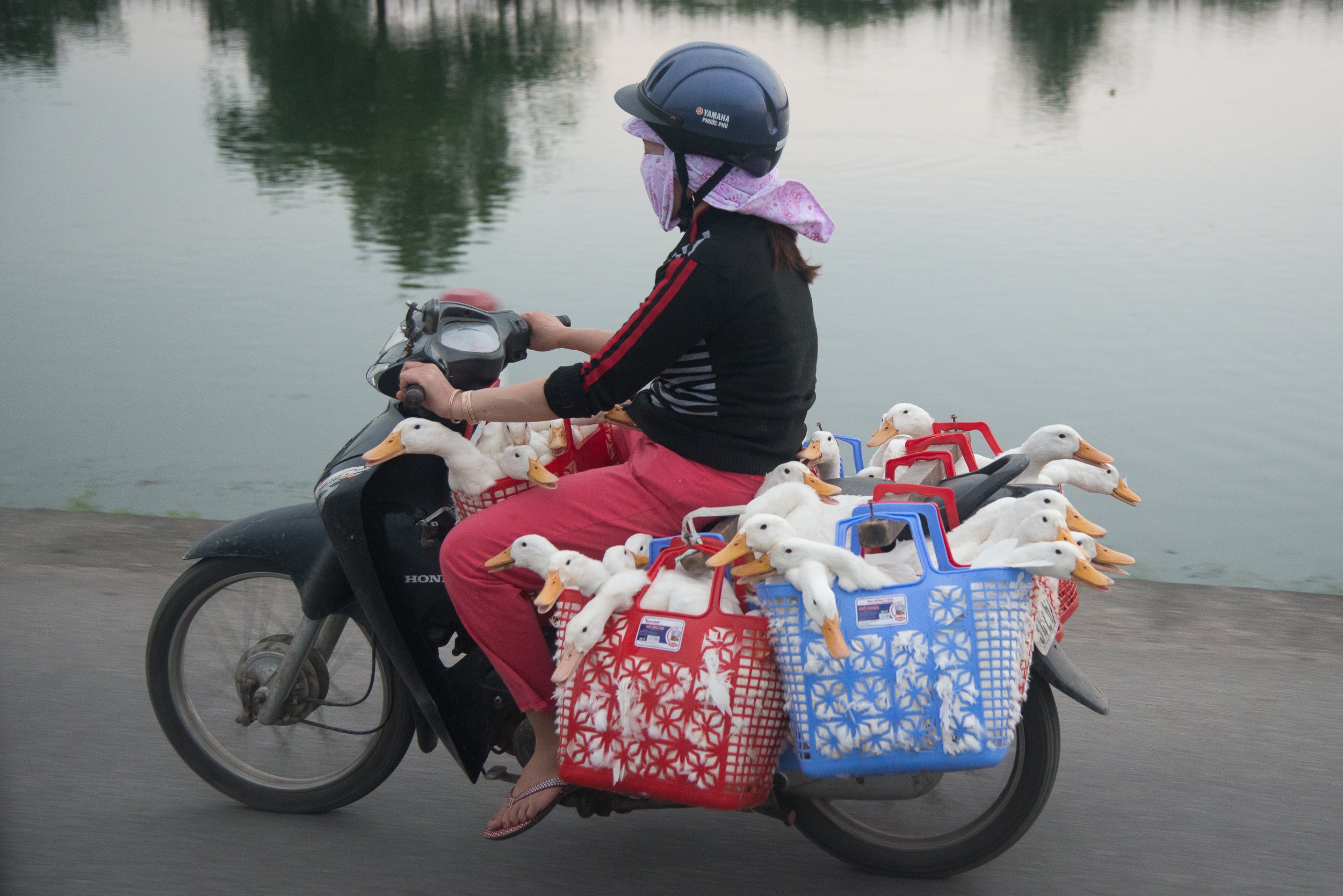 Joel Collins - Motorbikes-4527.jpg