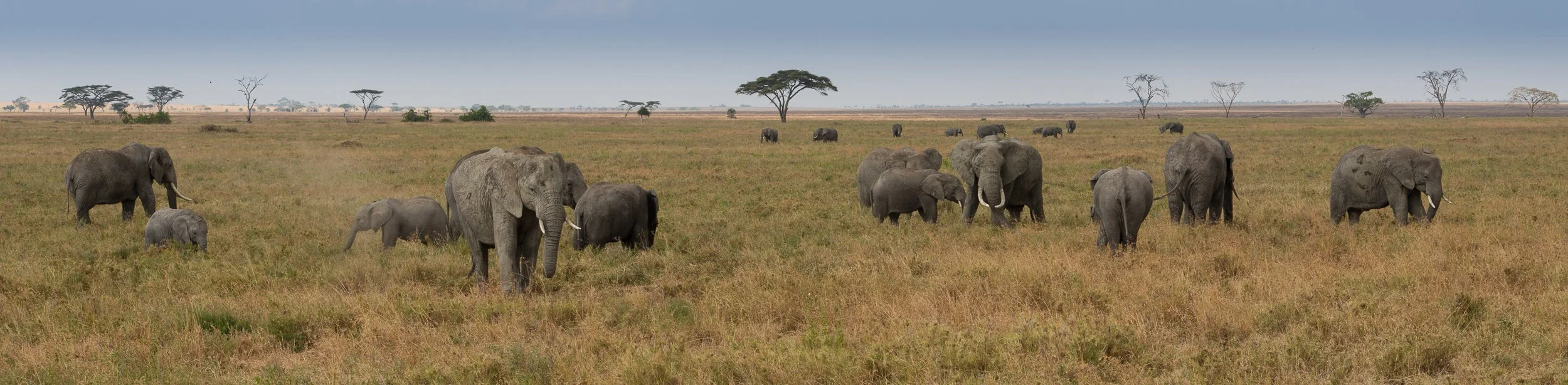 Joel Collins - Tanzania-7305.jpg