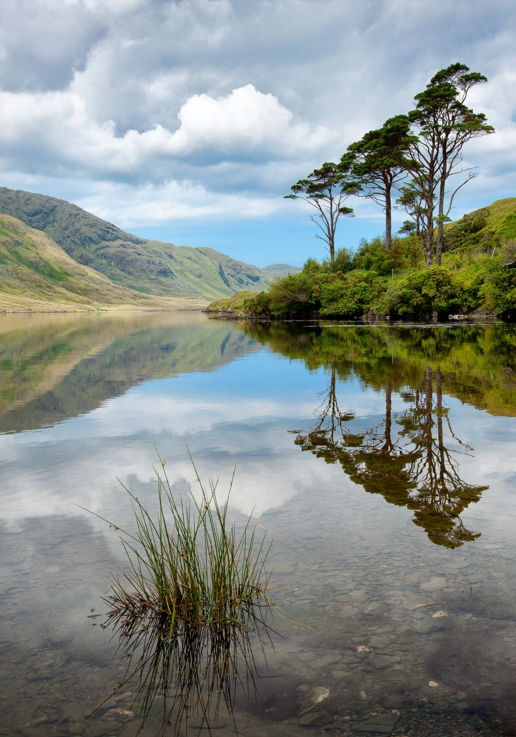 Joel Collins - Ireland--3.jpg