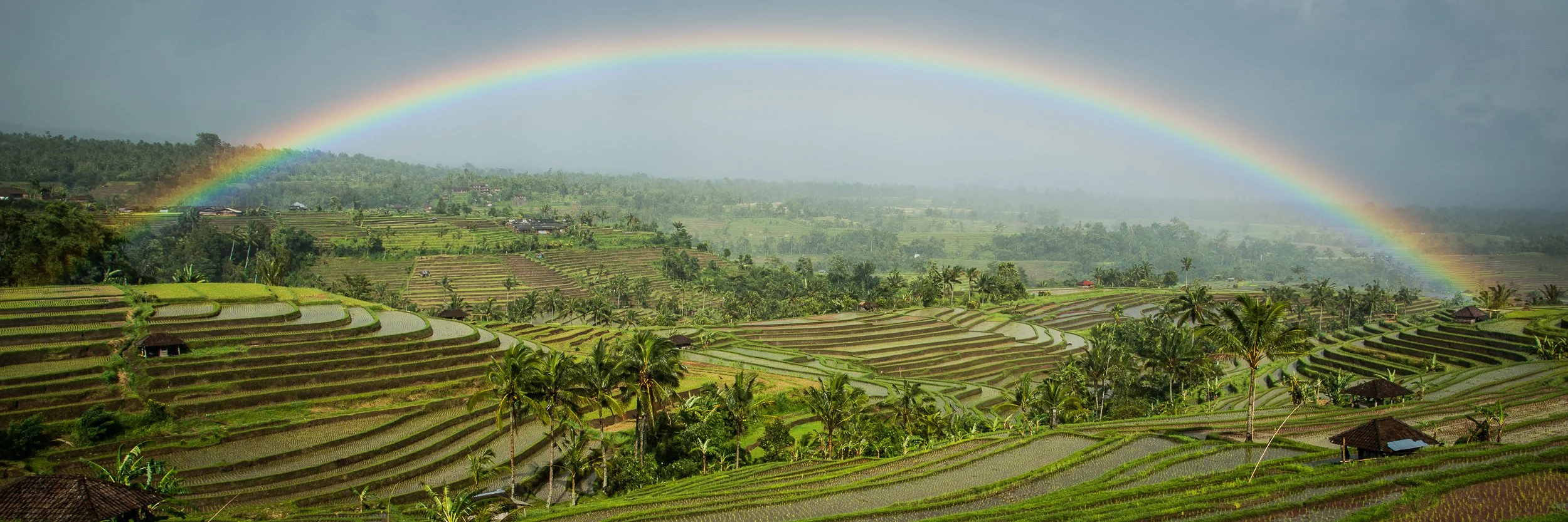 Joel Collins - Indonesia-0689.jpg
