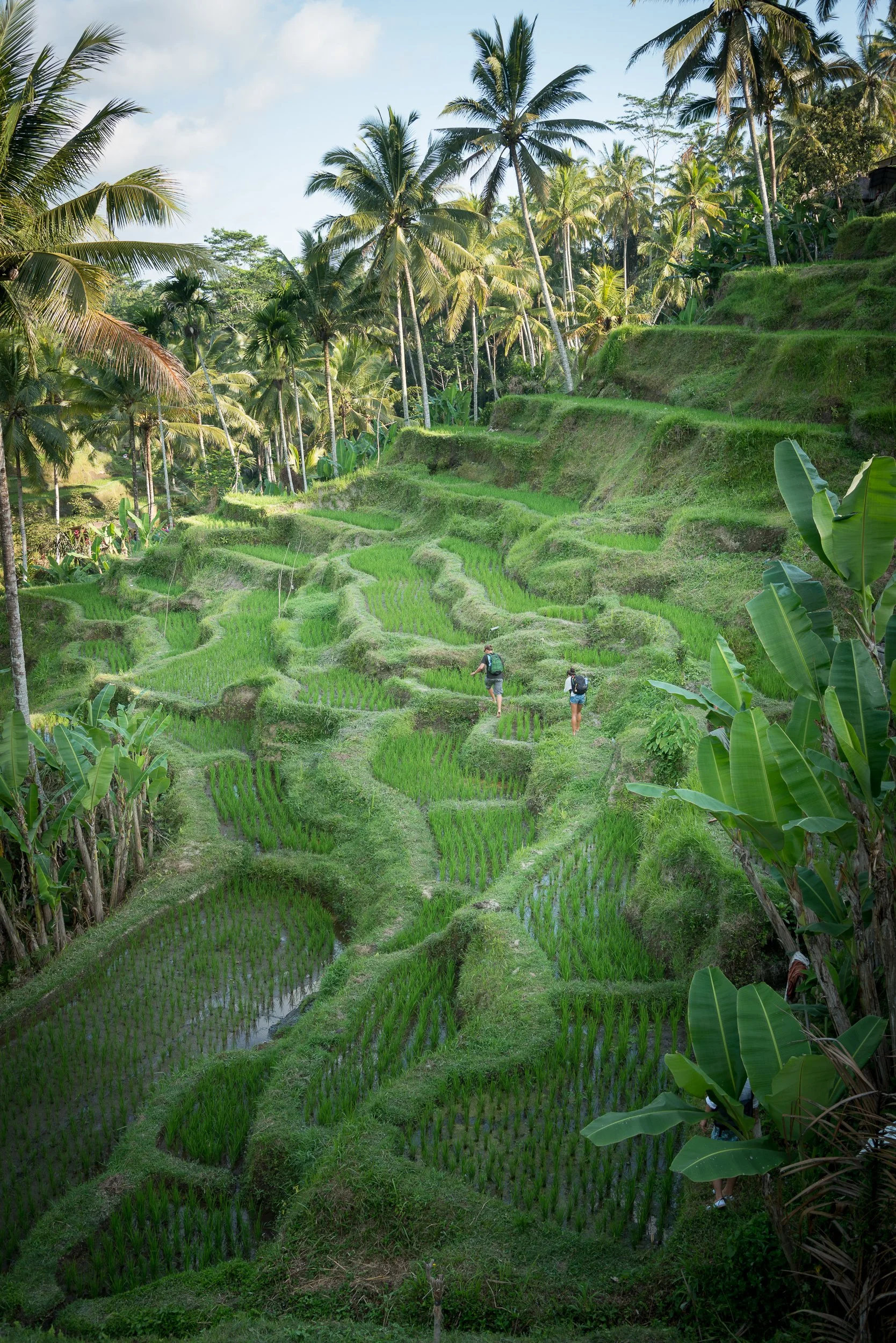 Joel Collins - Indonesia-6372.jpg
