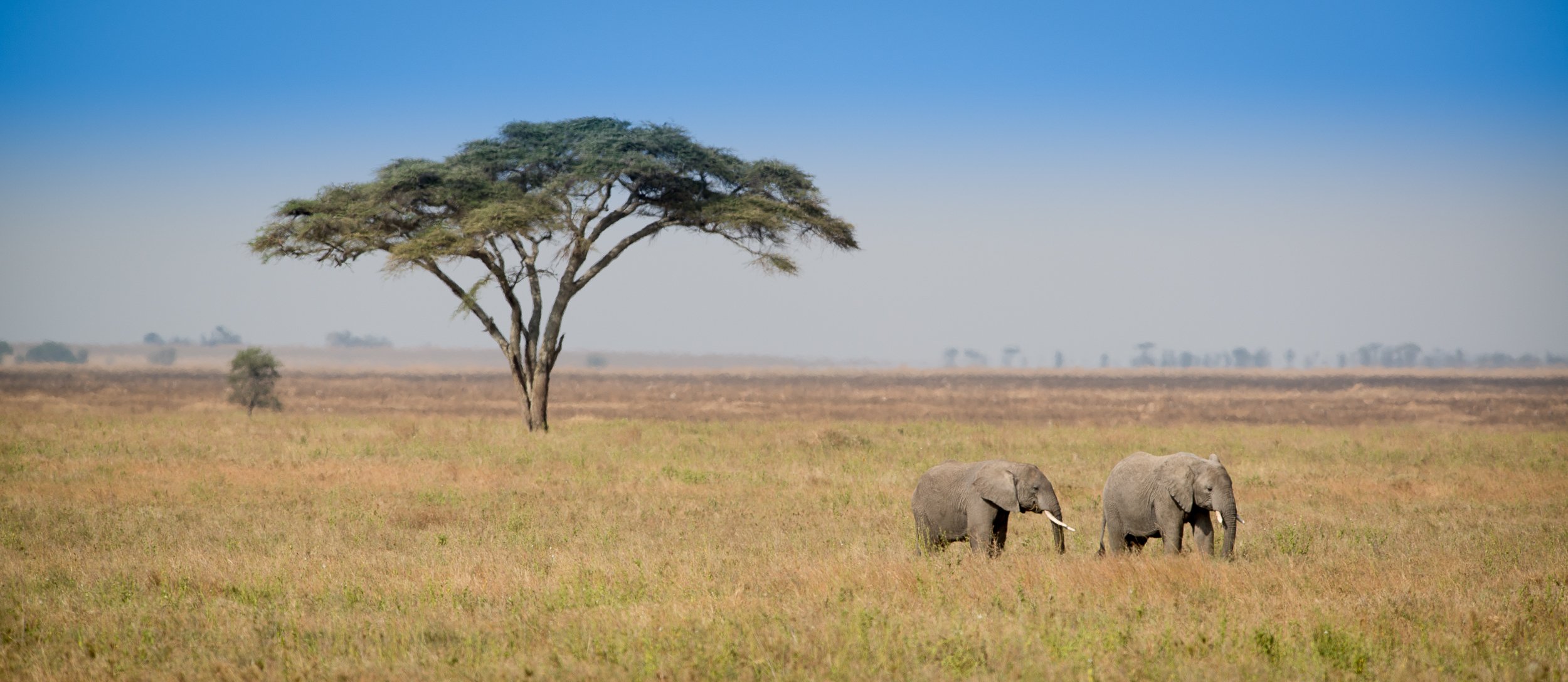 Joel Collins - Tanzania-2394.jpg